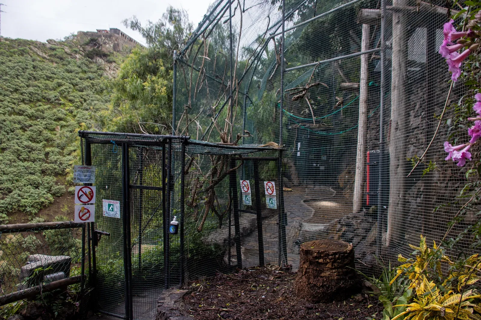 Maroparque Island of La Palma