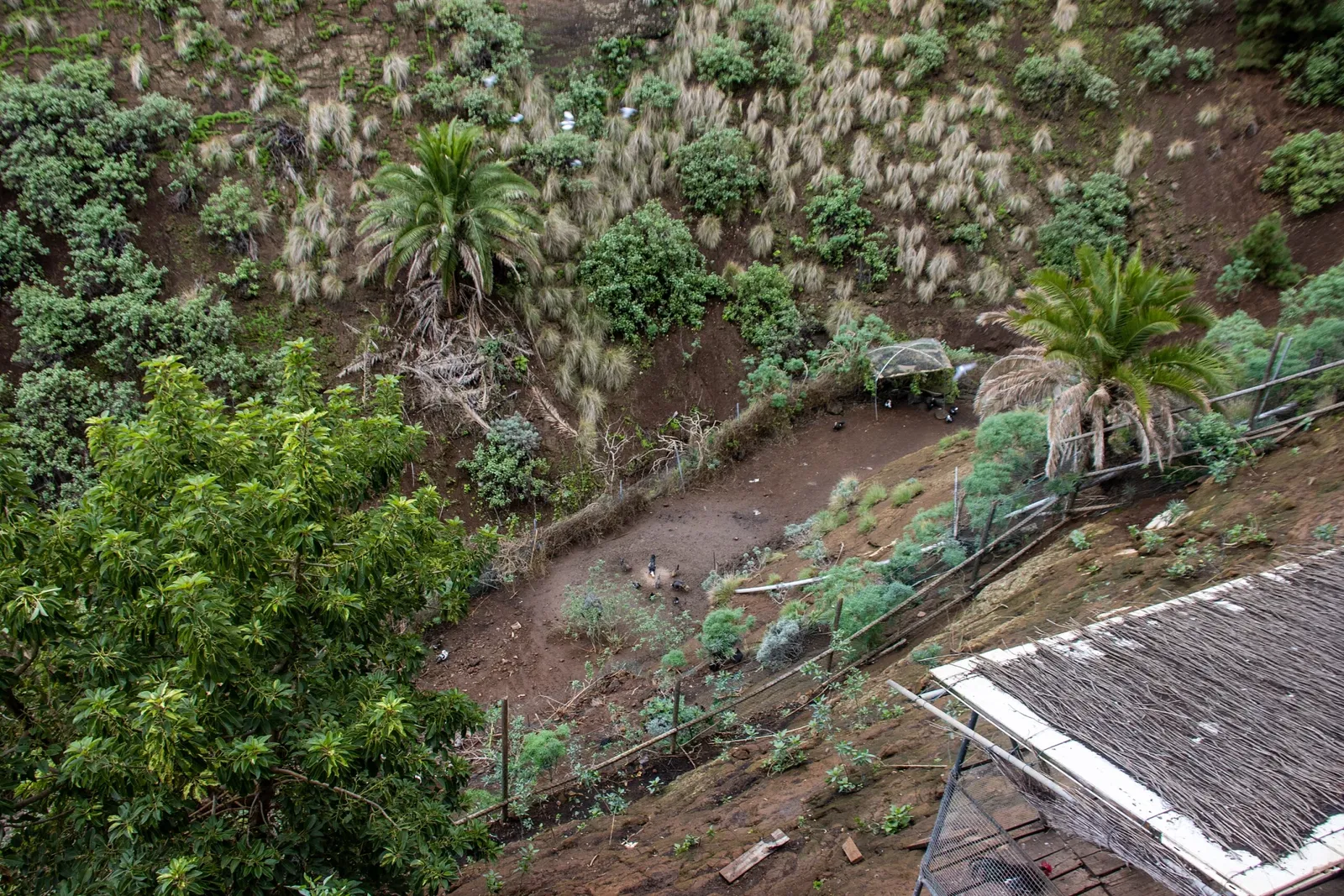 Maroparque Island of La Palma
