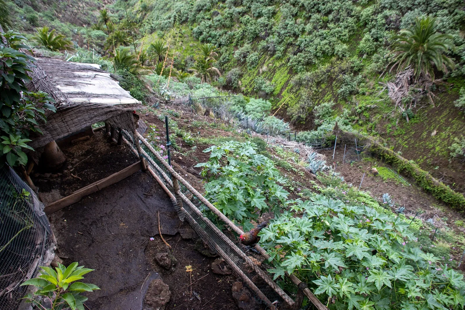 Maroparque Isla de La Palma