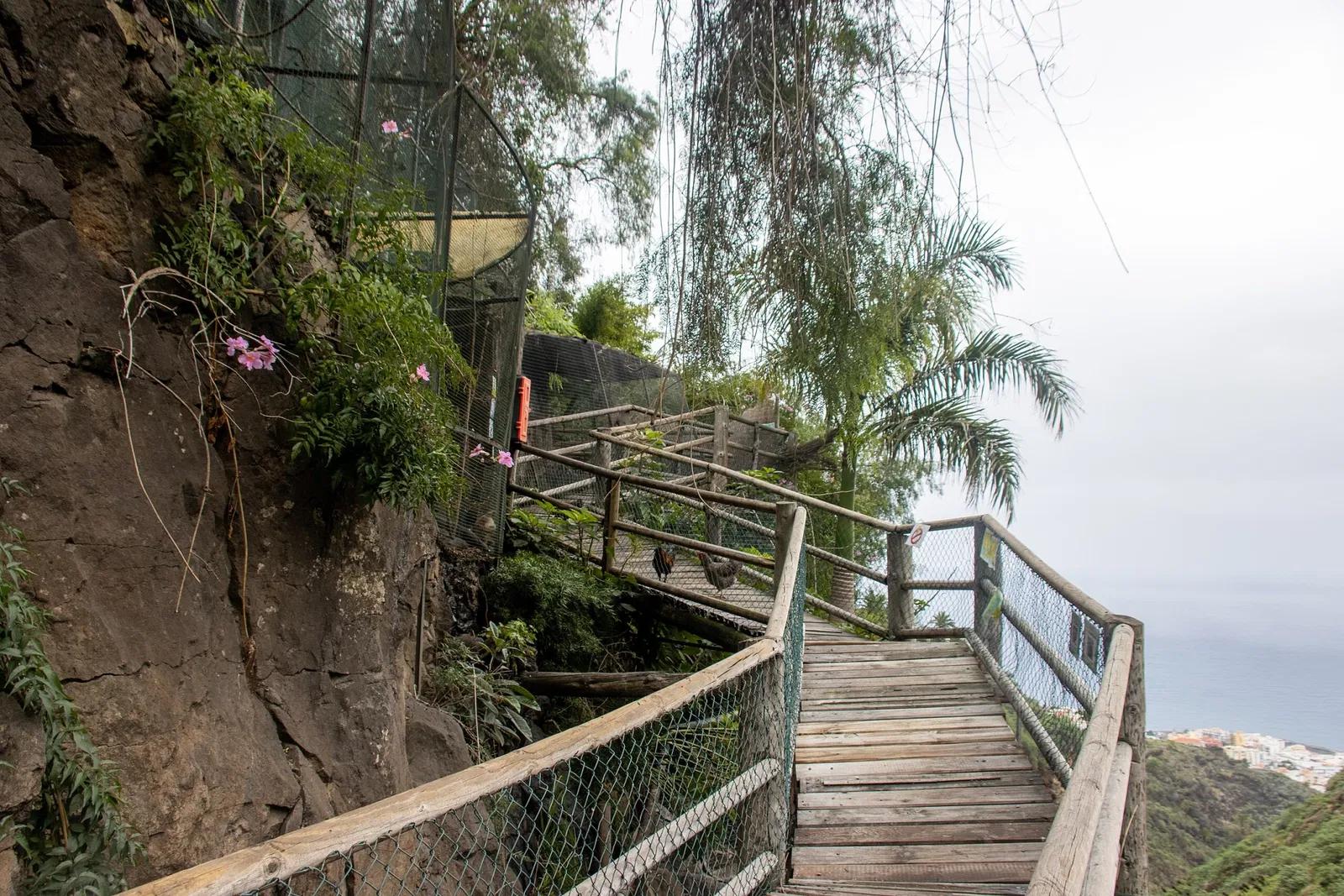 Maroparque Isla de La Palma