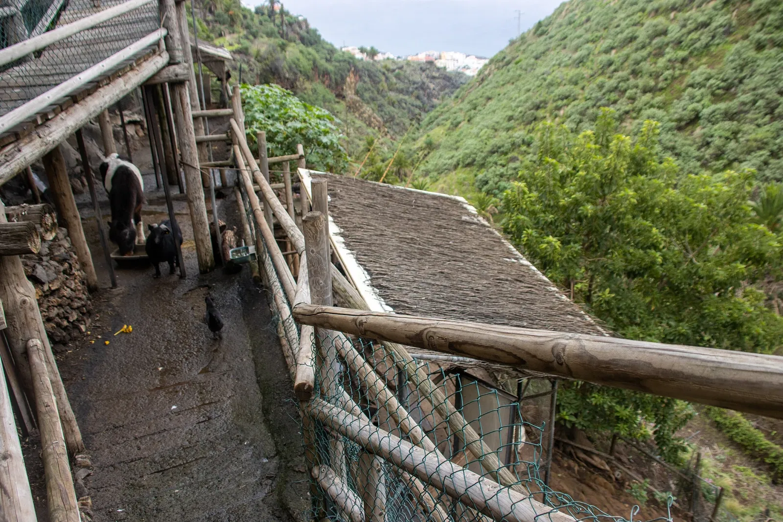 Maroparque Isla de La Palma