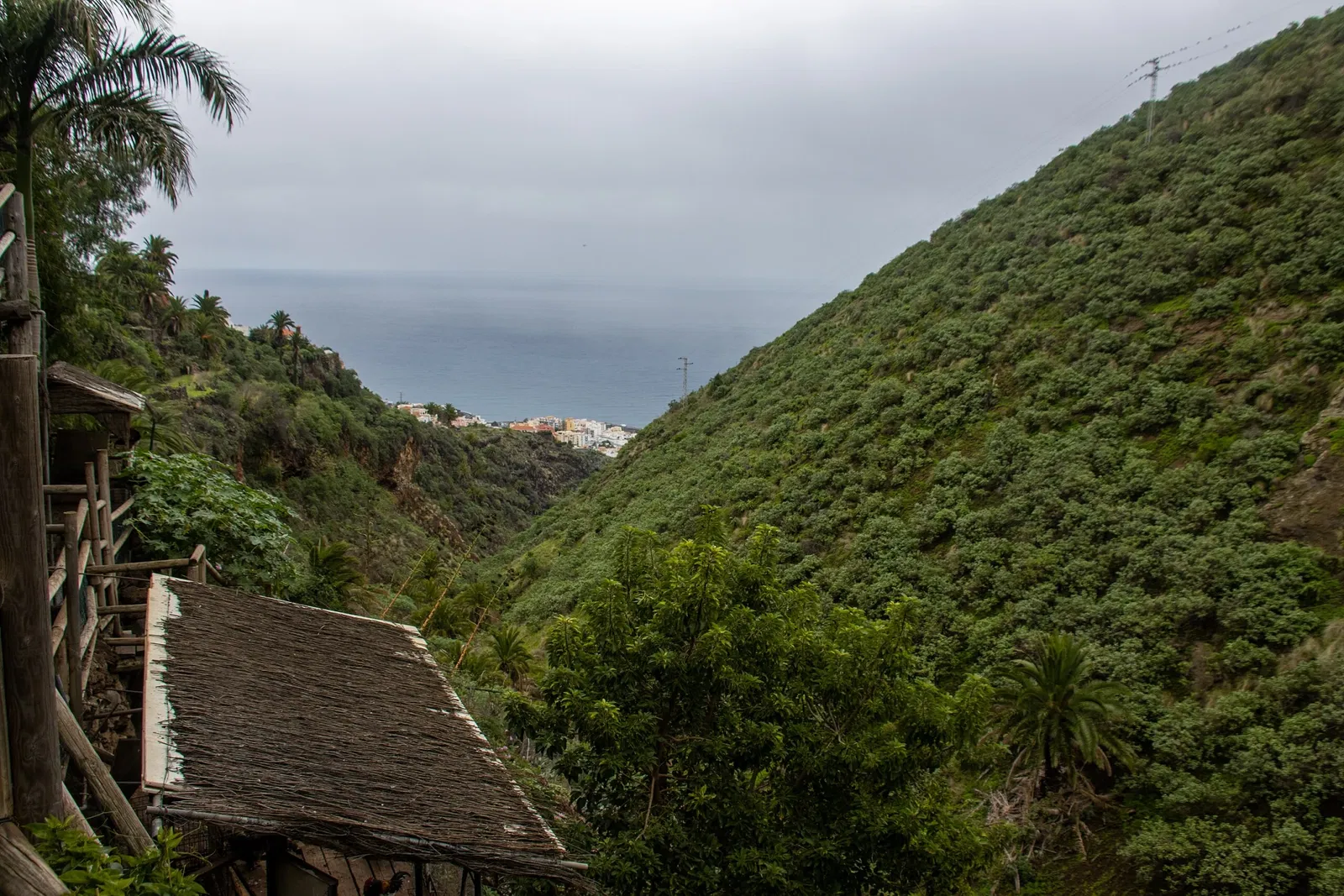 Maroparque Island of La Palma