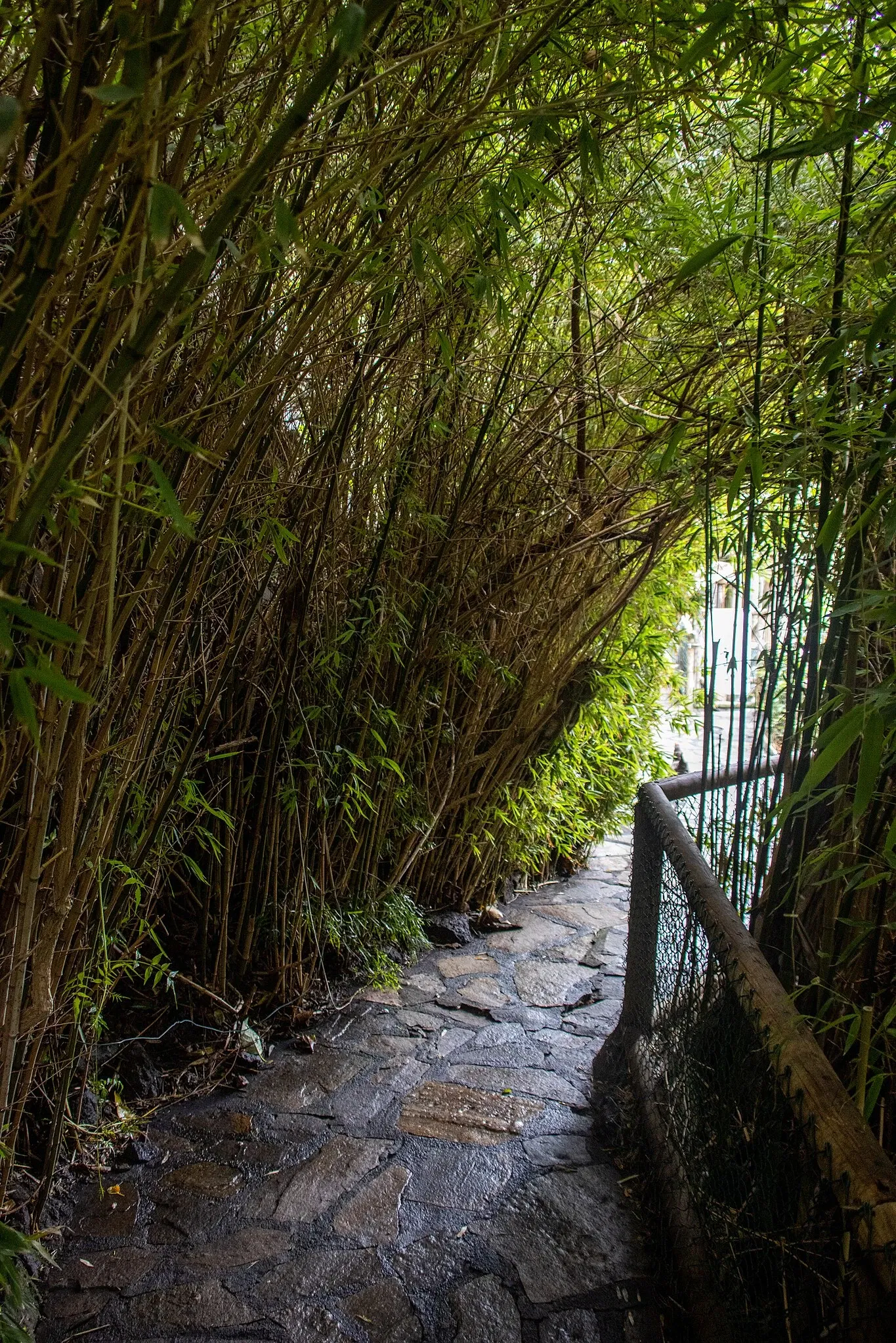 Maroparque Island of La Palma