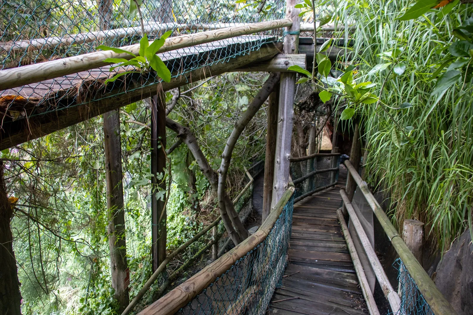 Maroparque Island of La Palma