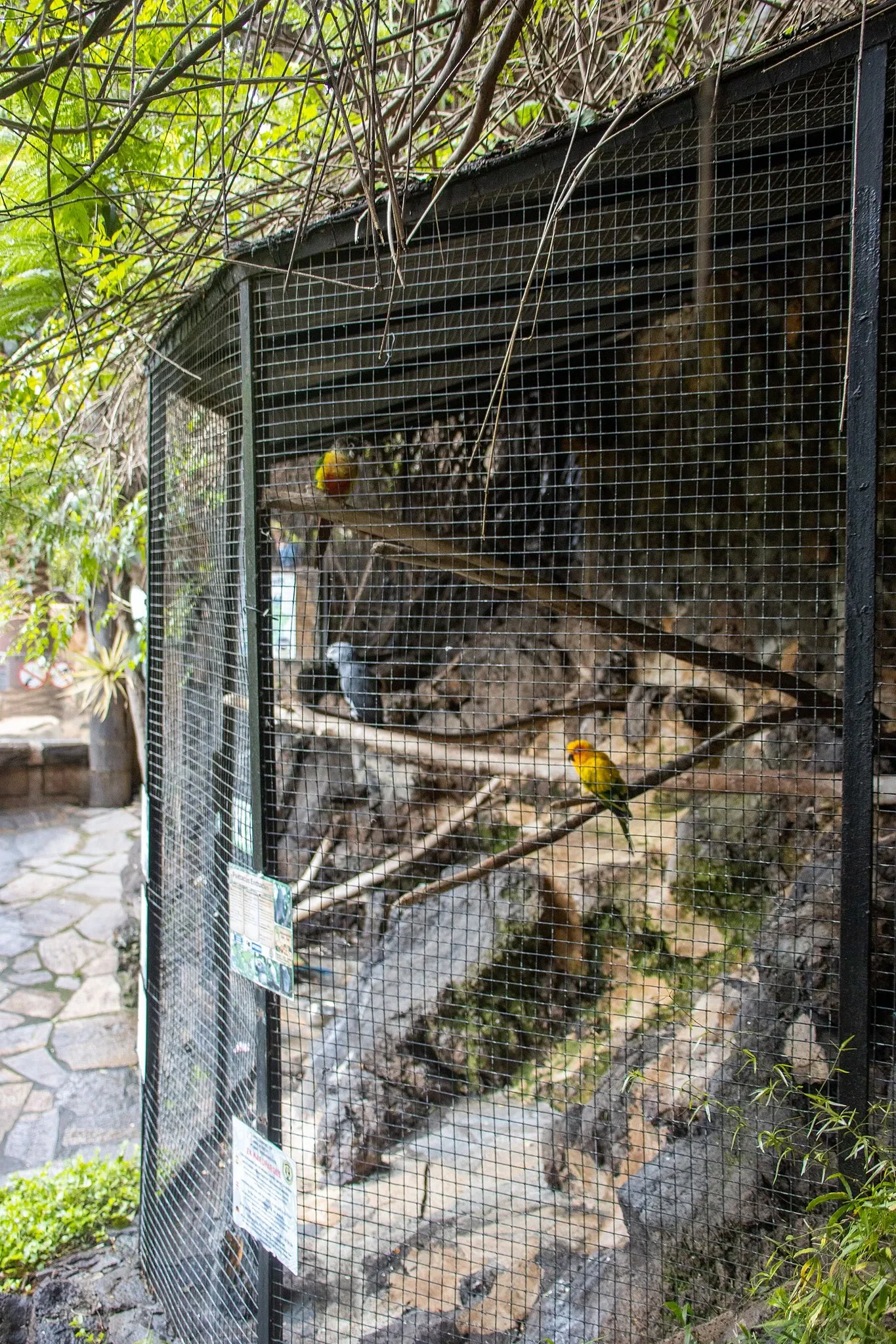Maroparque Island of La Palma