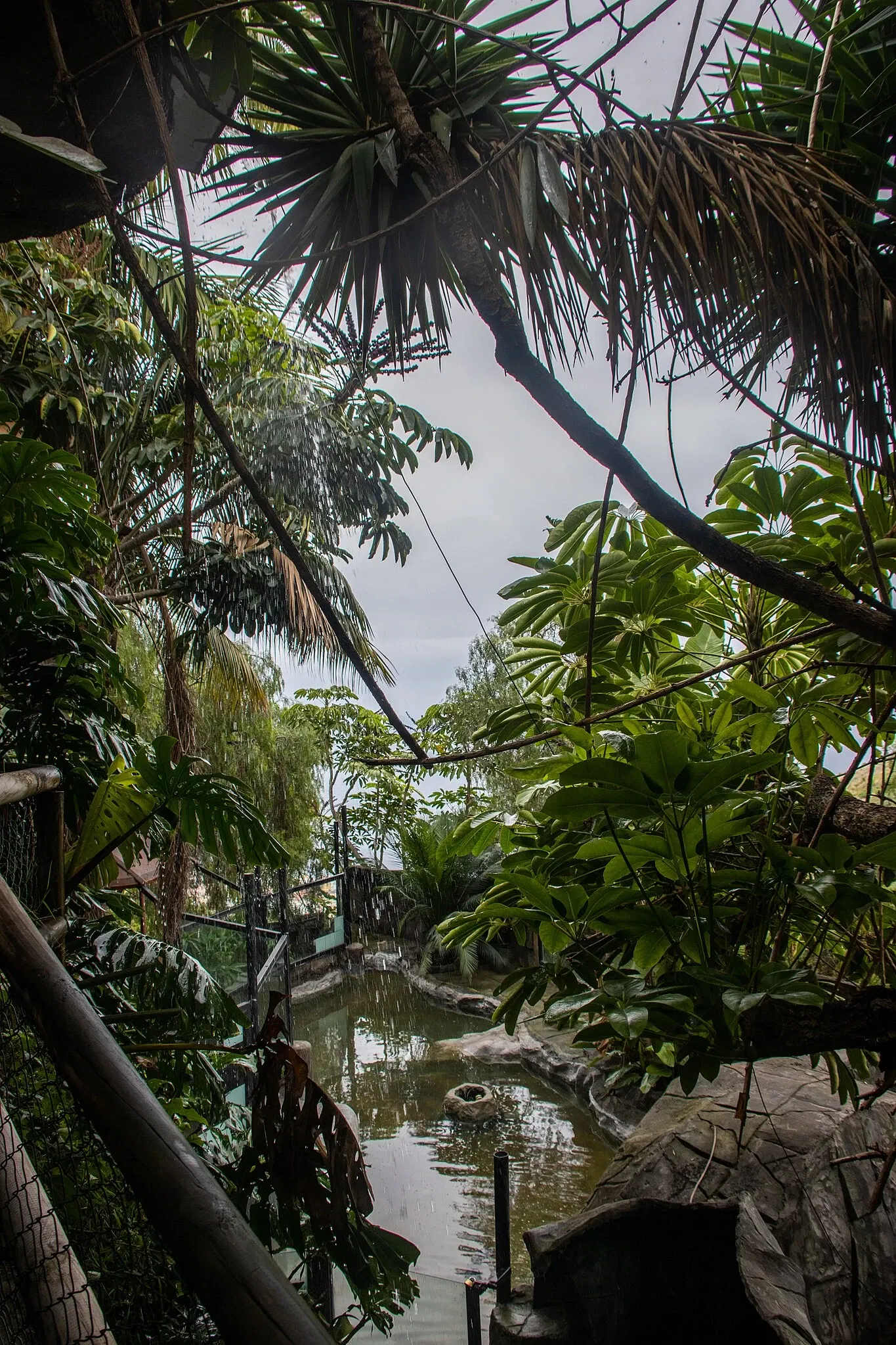 Maroparque Island of La Palma