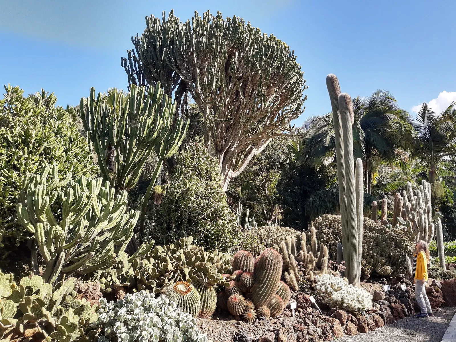 Jardín de la Marquesa
