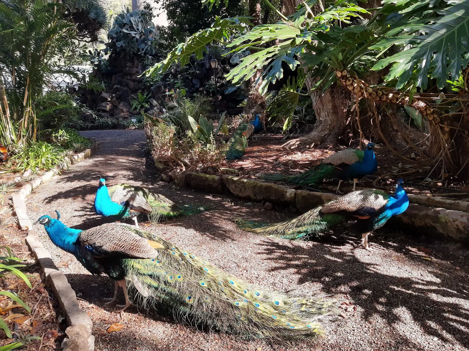 Jardín de la Marquesa