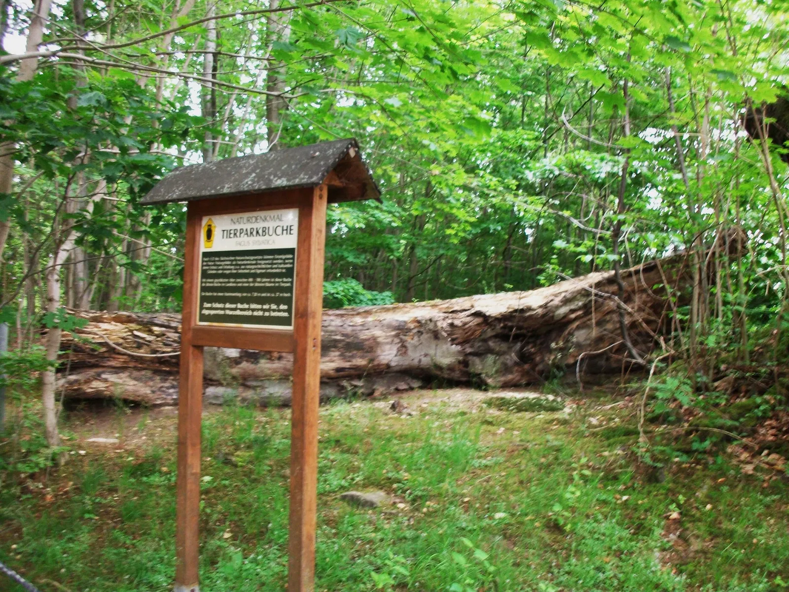 Hirschfeld Wildlife Park