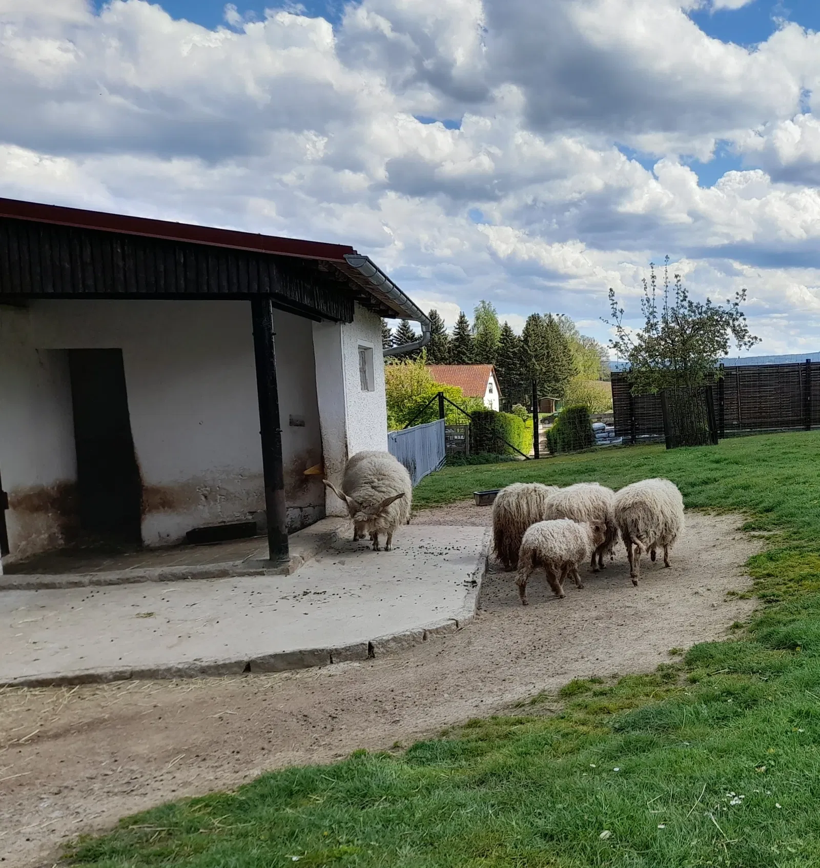 Hirschfeld Wildlife Park