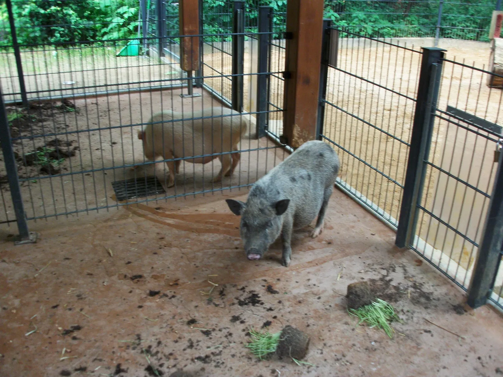 Hirschfeld Wildlife Park