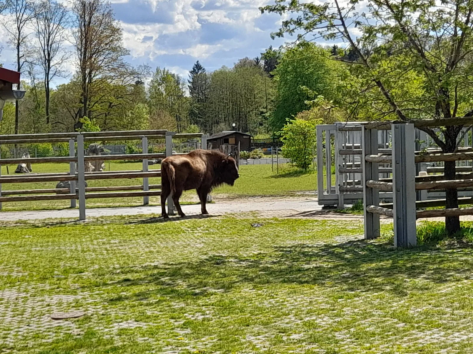 Hirschfeld Wildlife Park