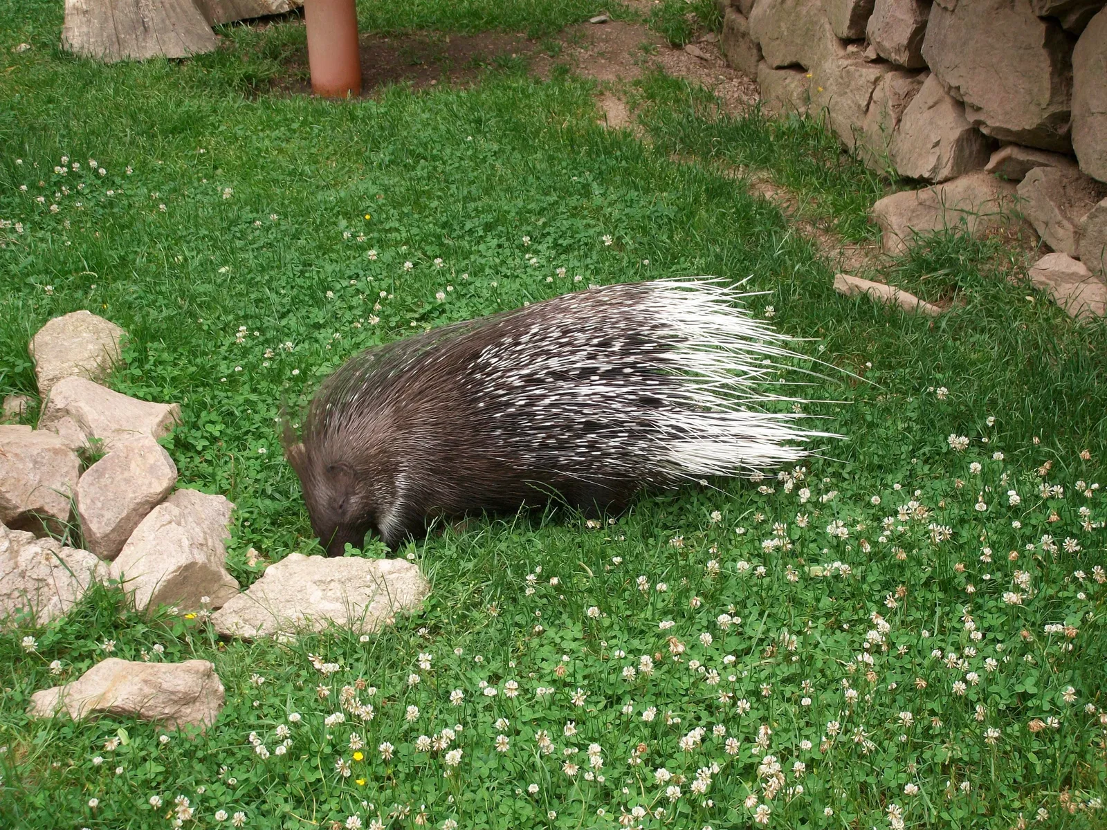 Hirschfeld Wildlife Park