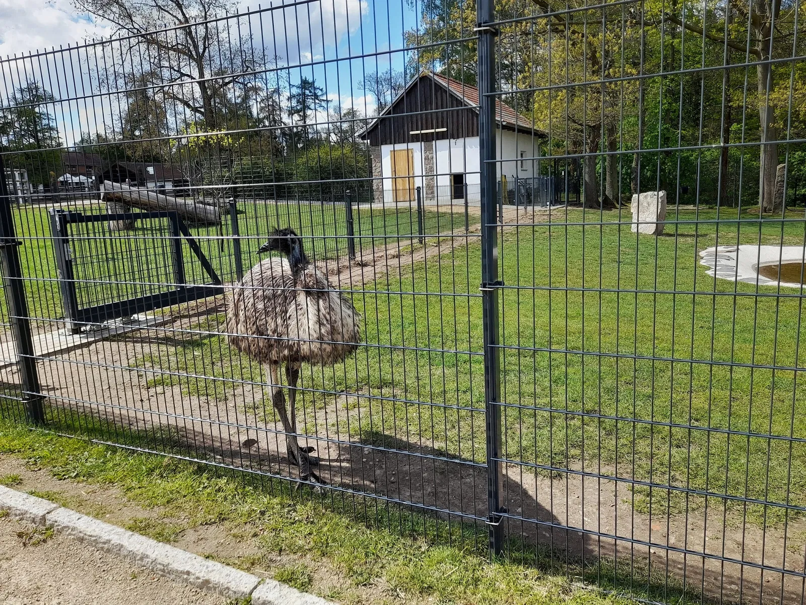 Hirschfeld Wildlife Park