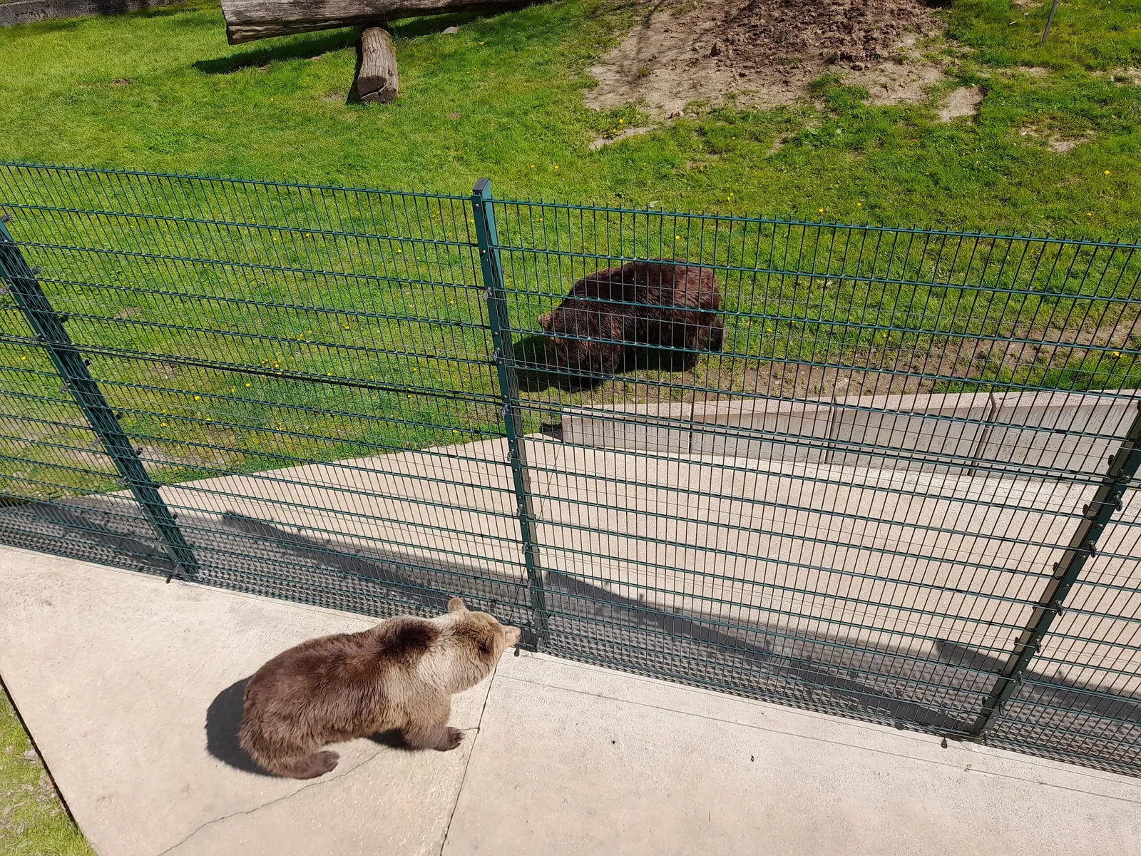 Hirschfeld Wildlife Park