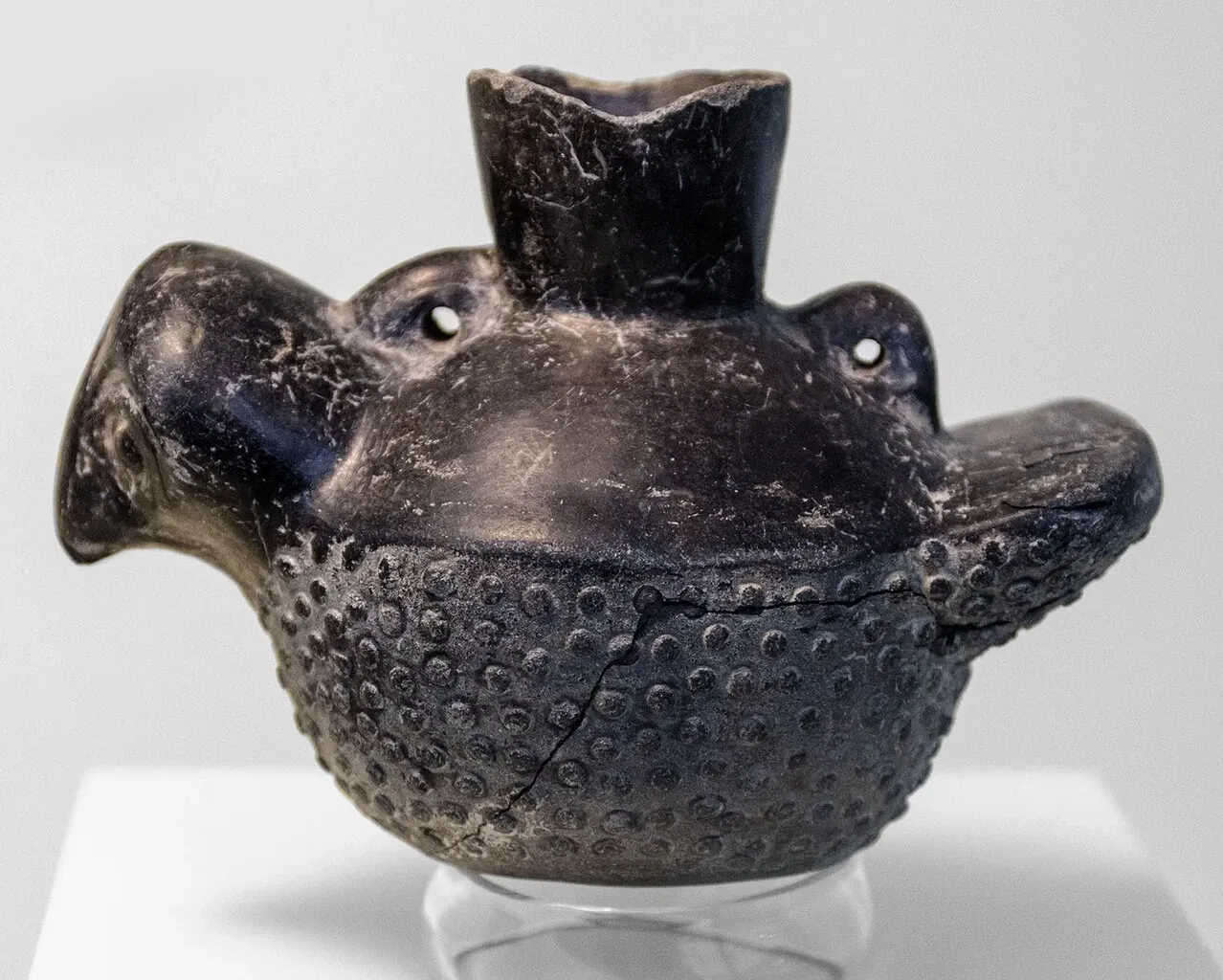 Museo de Arte Precolombino