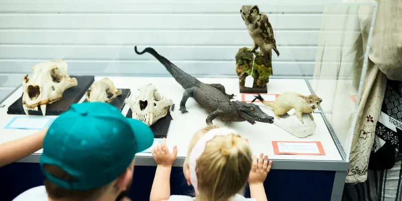 Leeds Discovery Centre