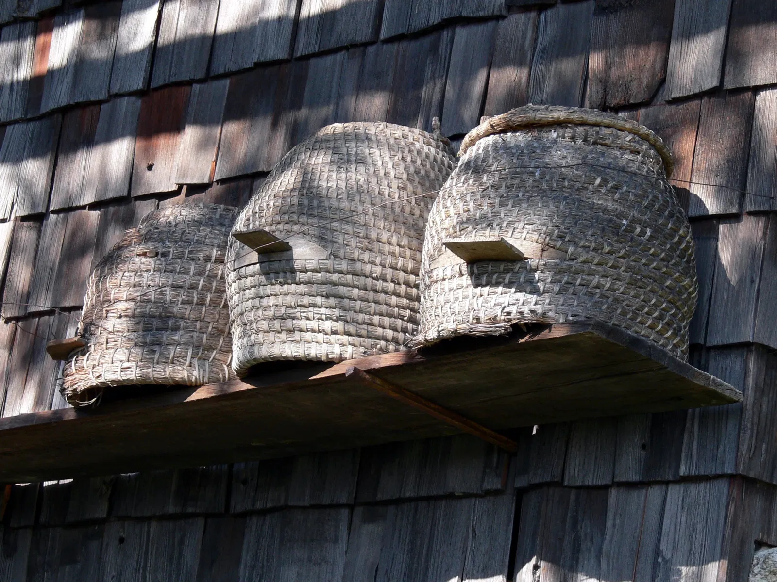 Bavarian Forest Museum Village