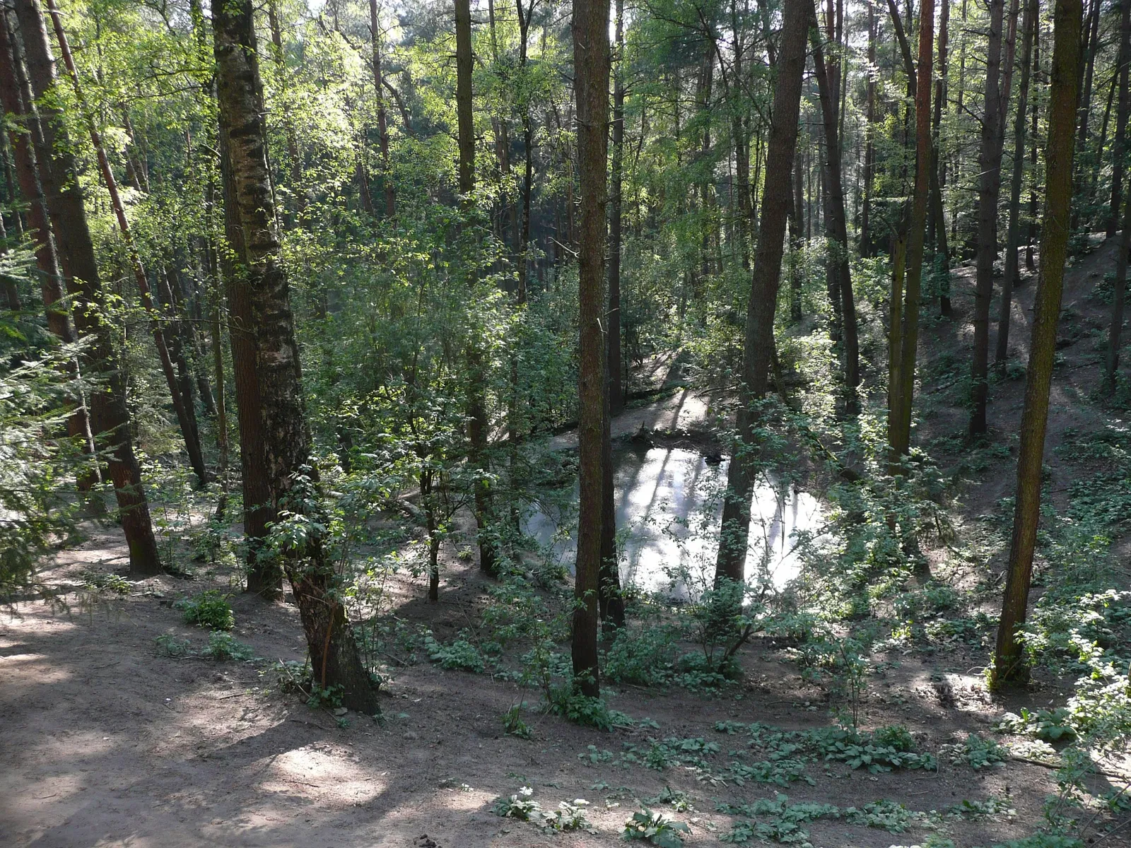 Wildpark Schwarze Berge