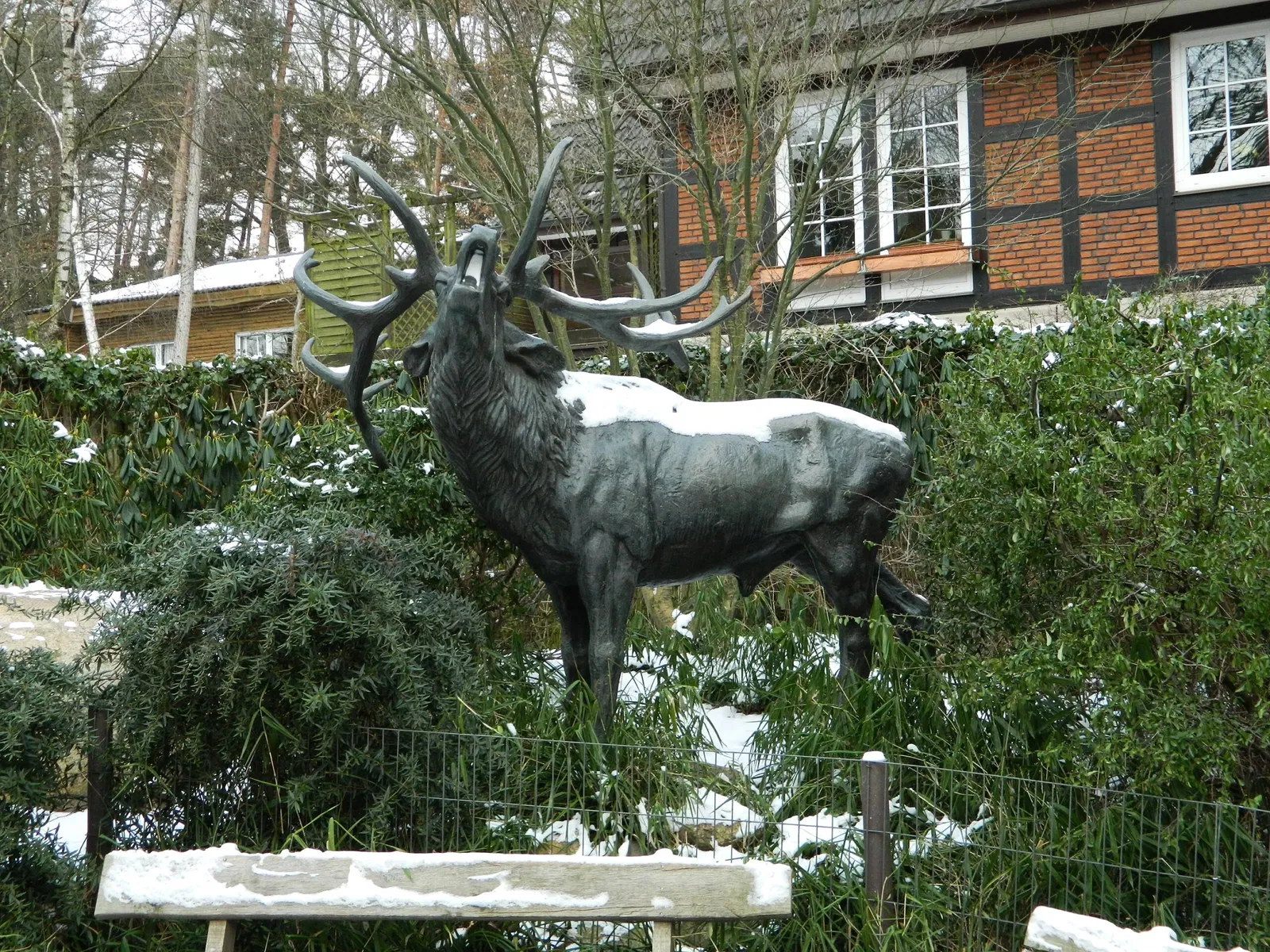 Wildpark Schwarze Berge