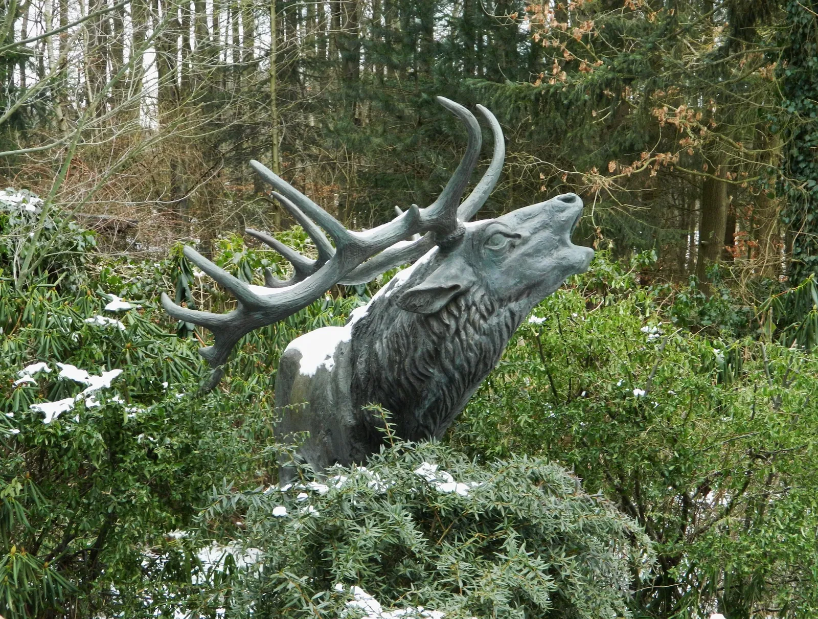 Wildpark Schwarze Berge