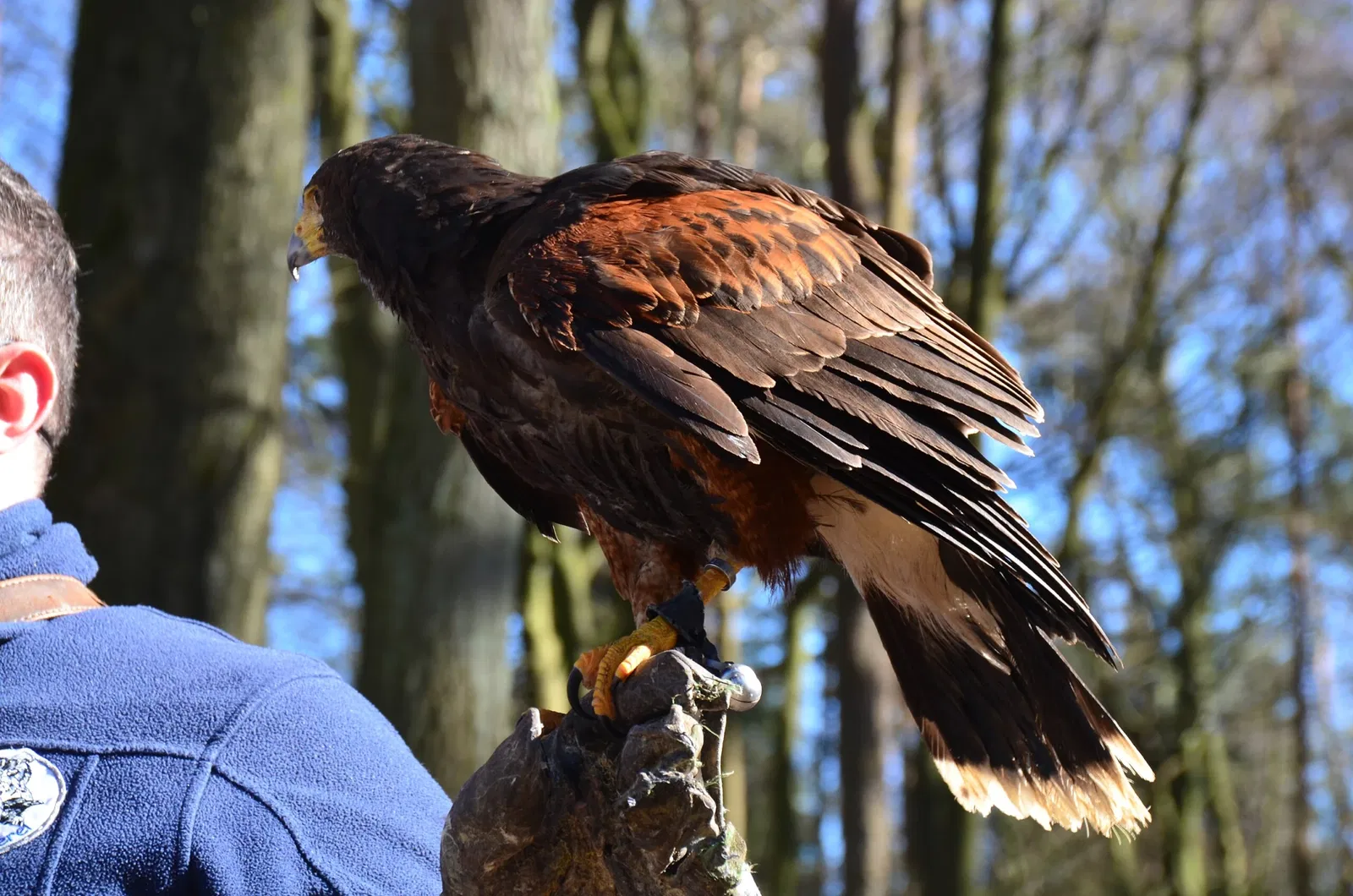 Wildpark Schwarze Berge