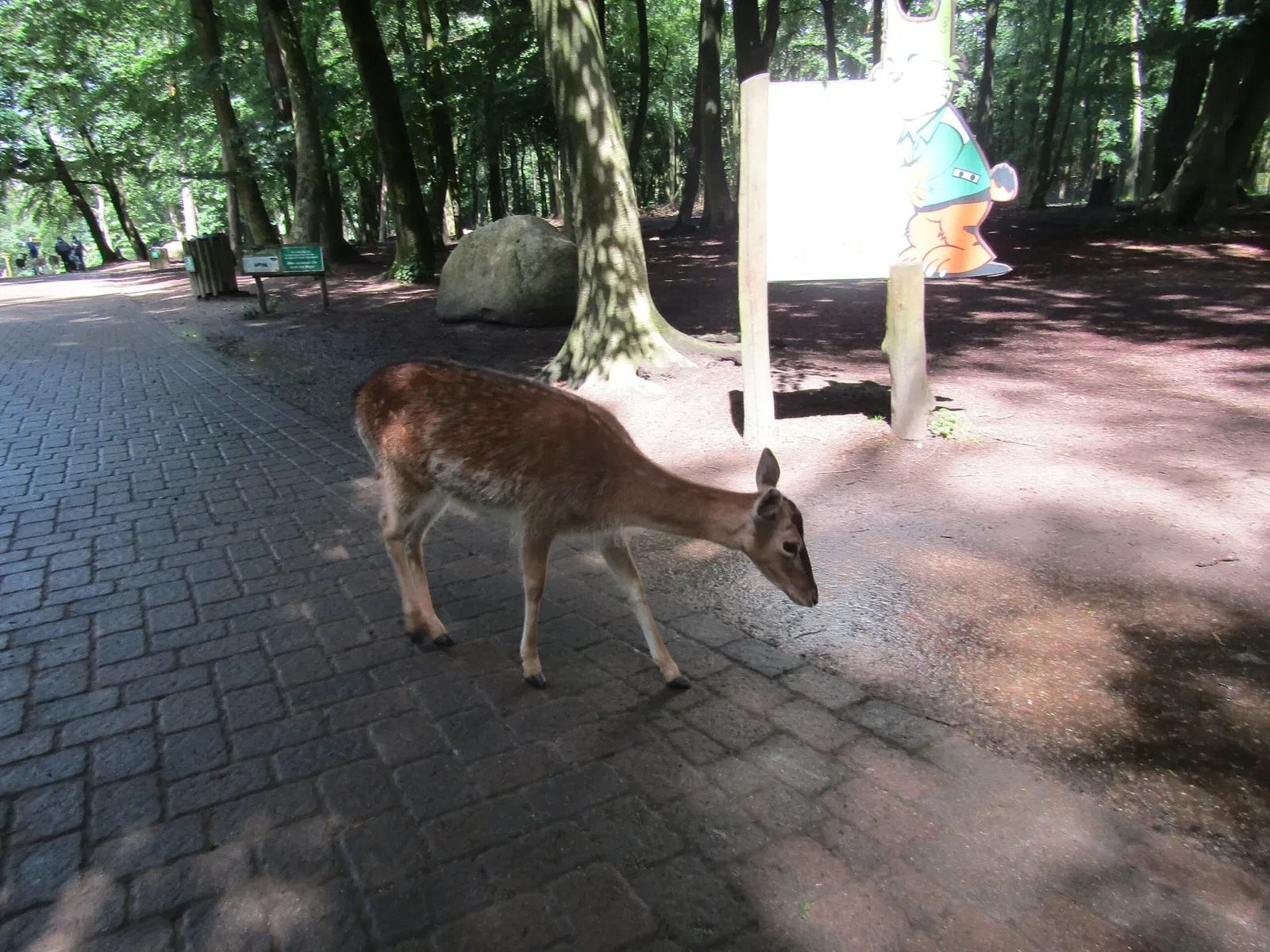 Wildpark Schwarze Berge