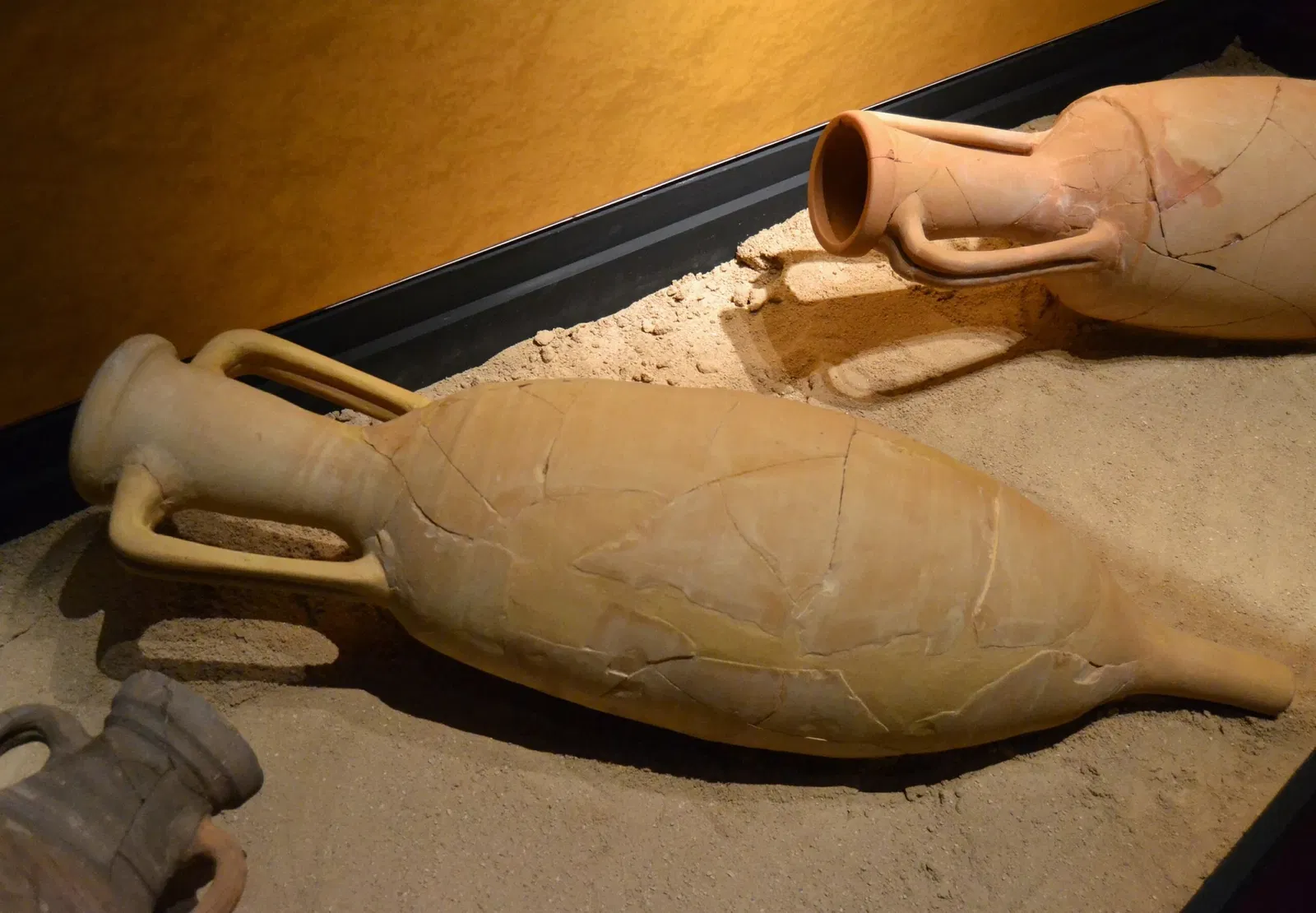 Museum Damaso Navarro