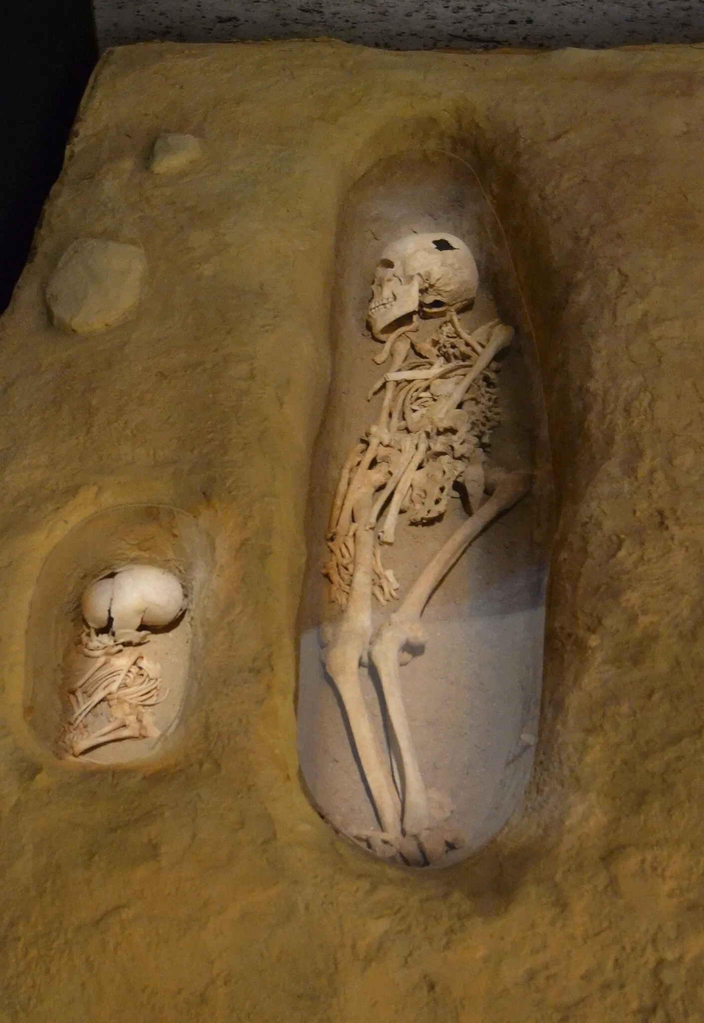 Museo Dámaso Navarro