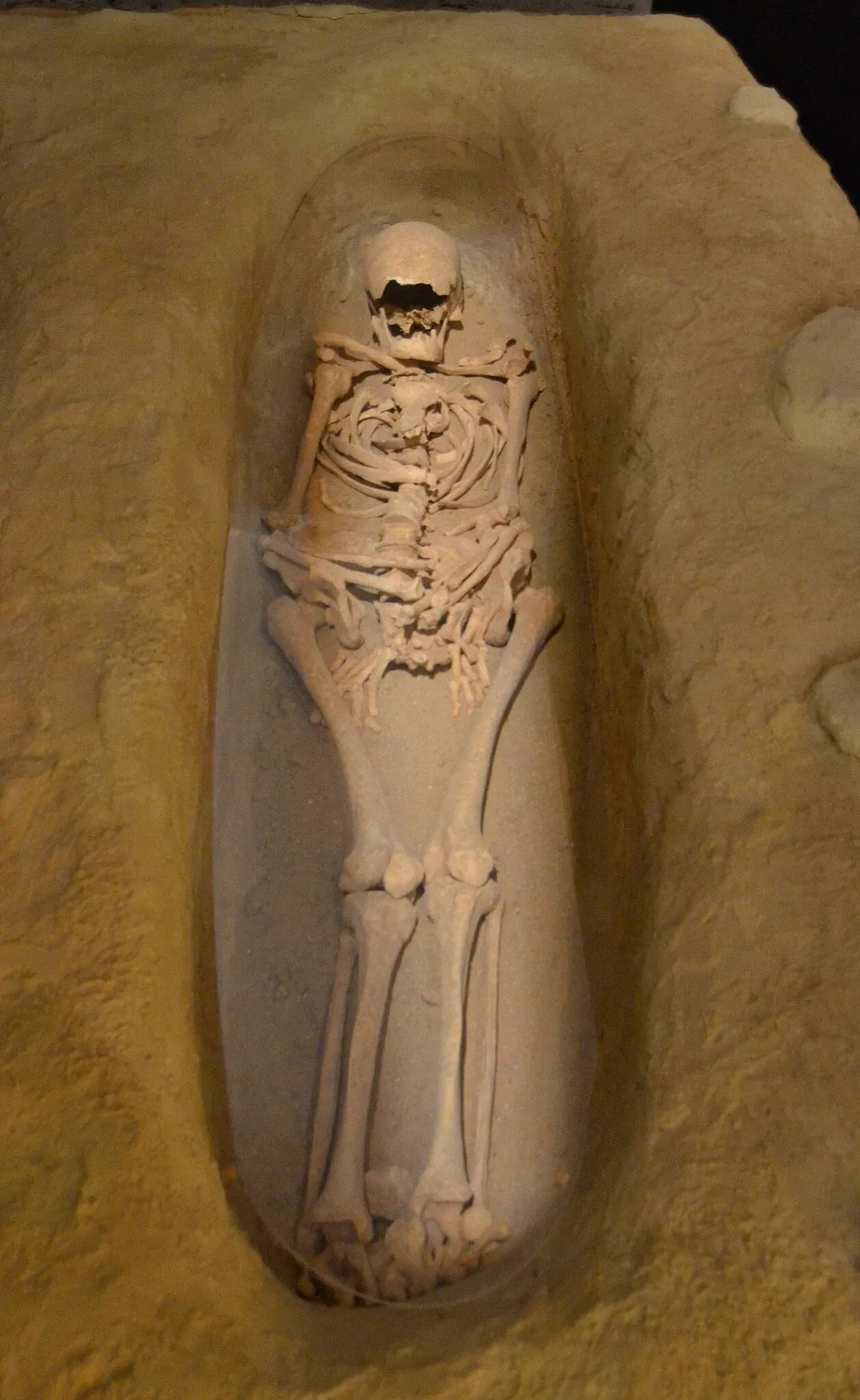 Museo Dámaso Navarro