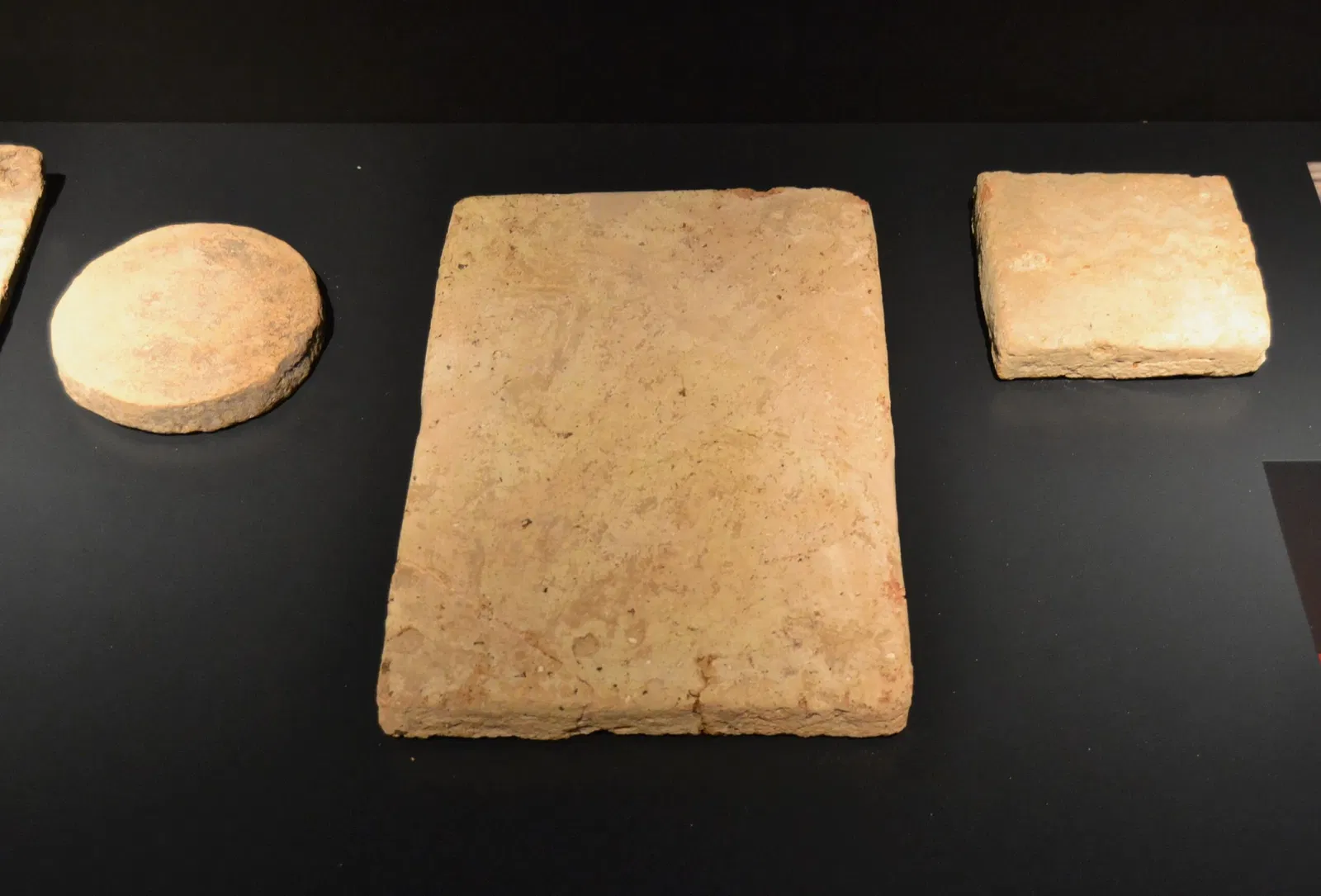 Museum Damaso Navarro