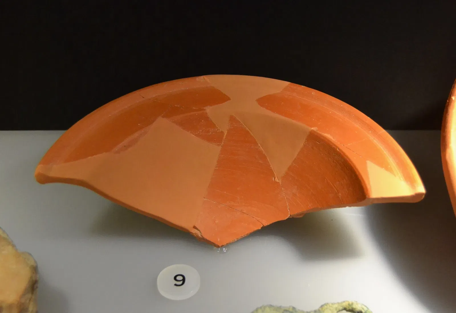 Museum Damaso Navarro