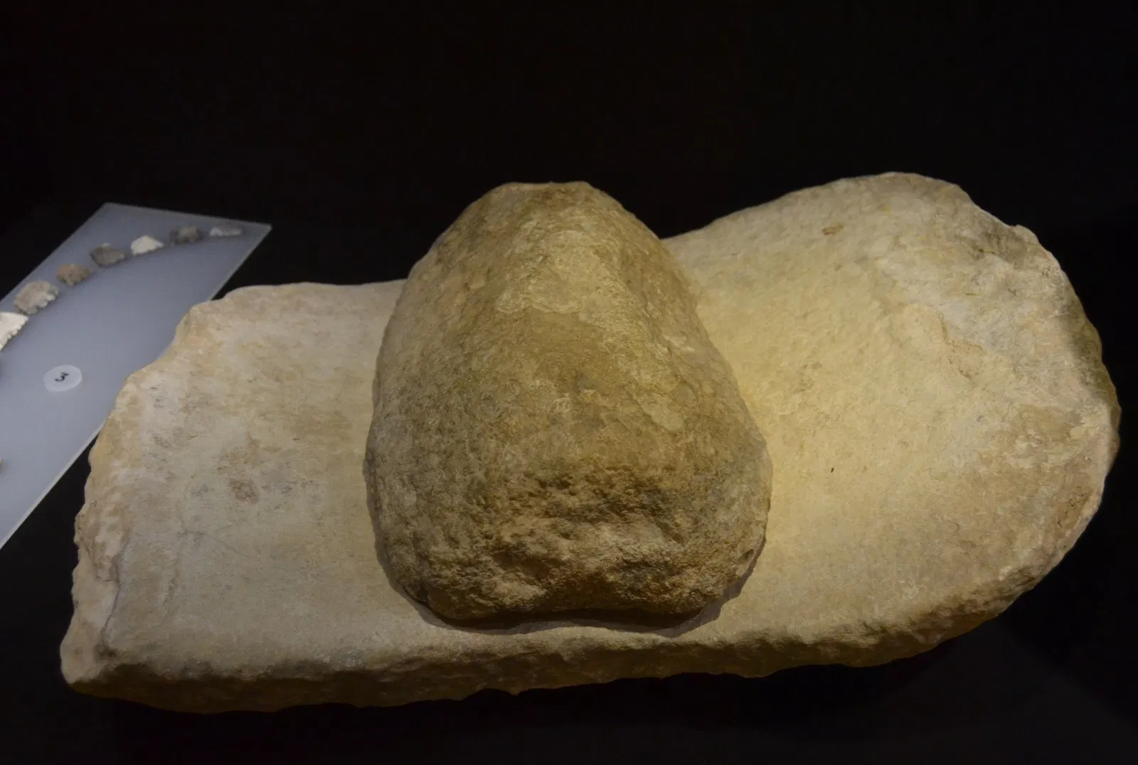 Museo Dámaso Navarro