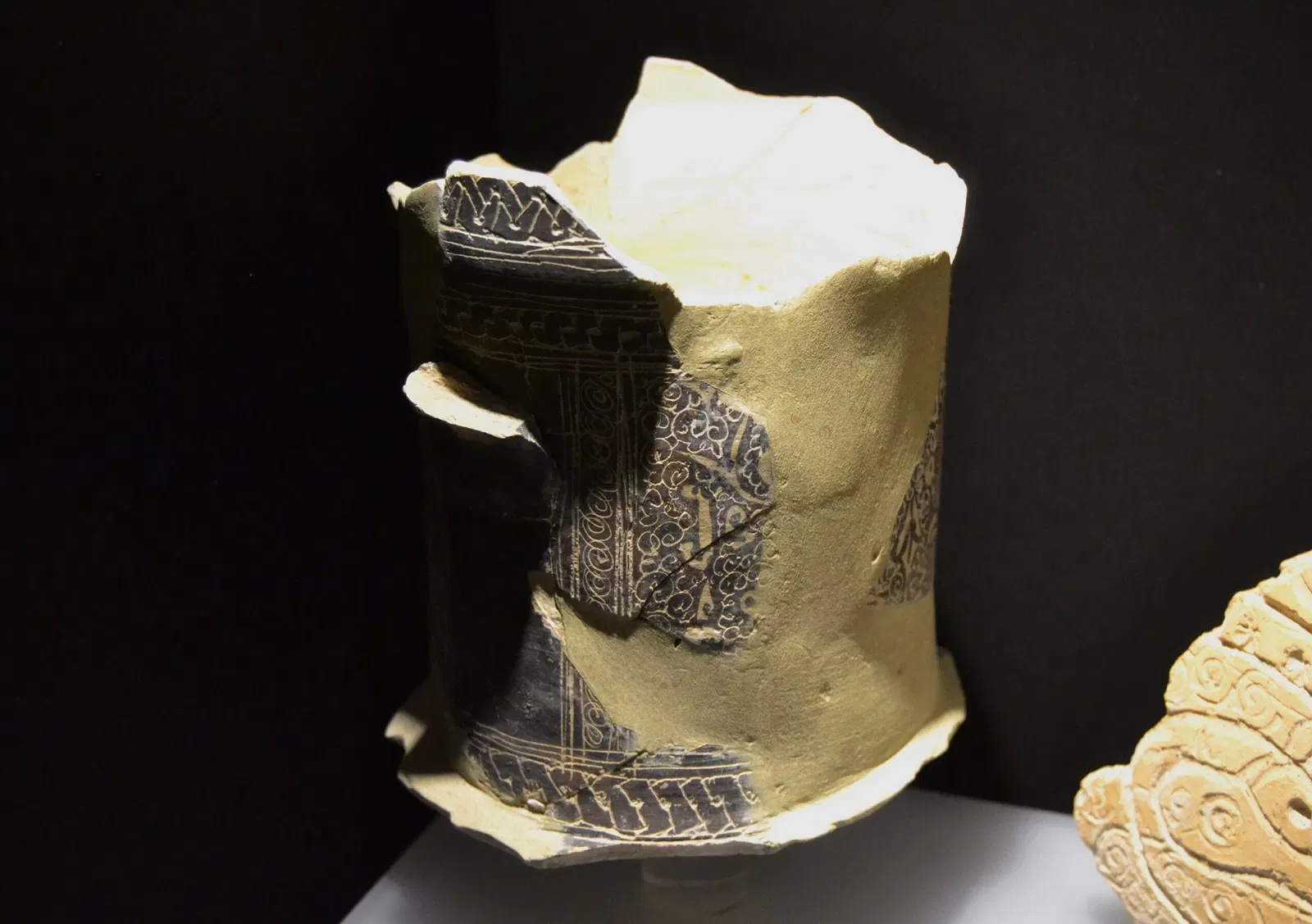 Museum Damaso Navarro