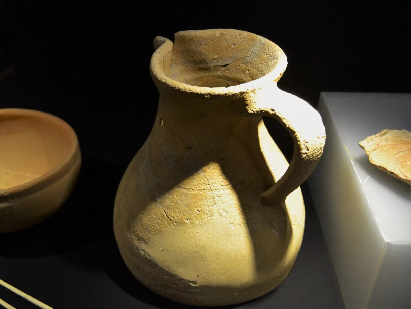 Museum Damaso Navarro