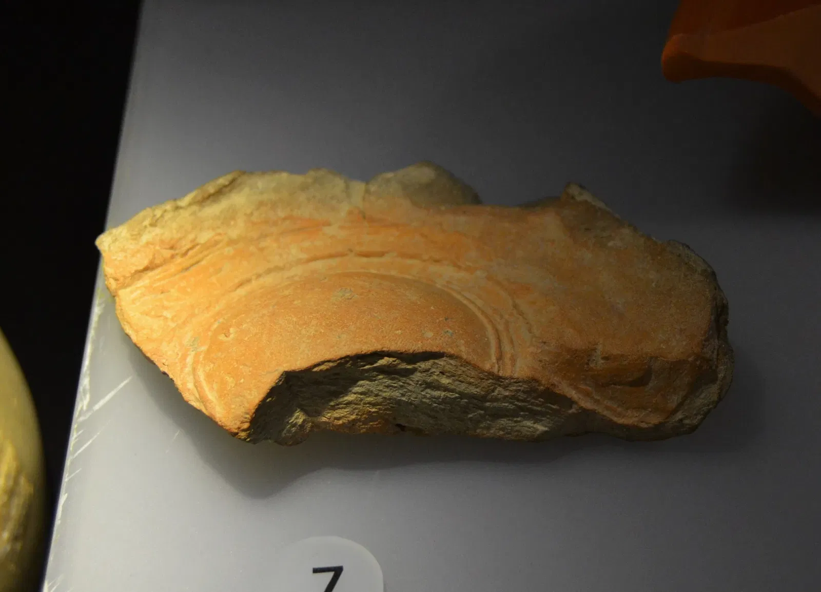 Museo Dámaso Navarro