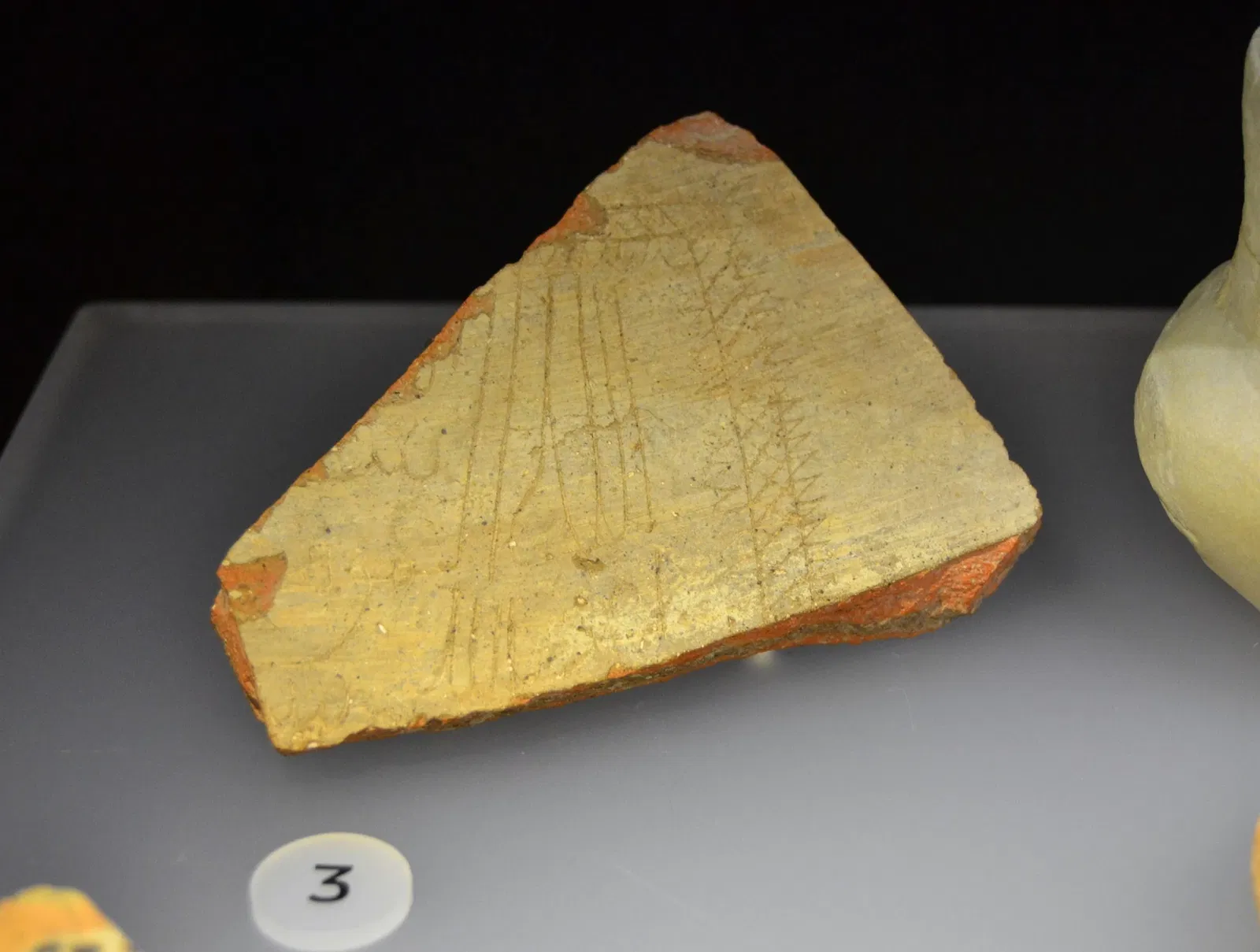 Museum Damaso Navarro