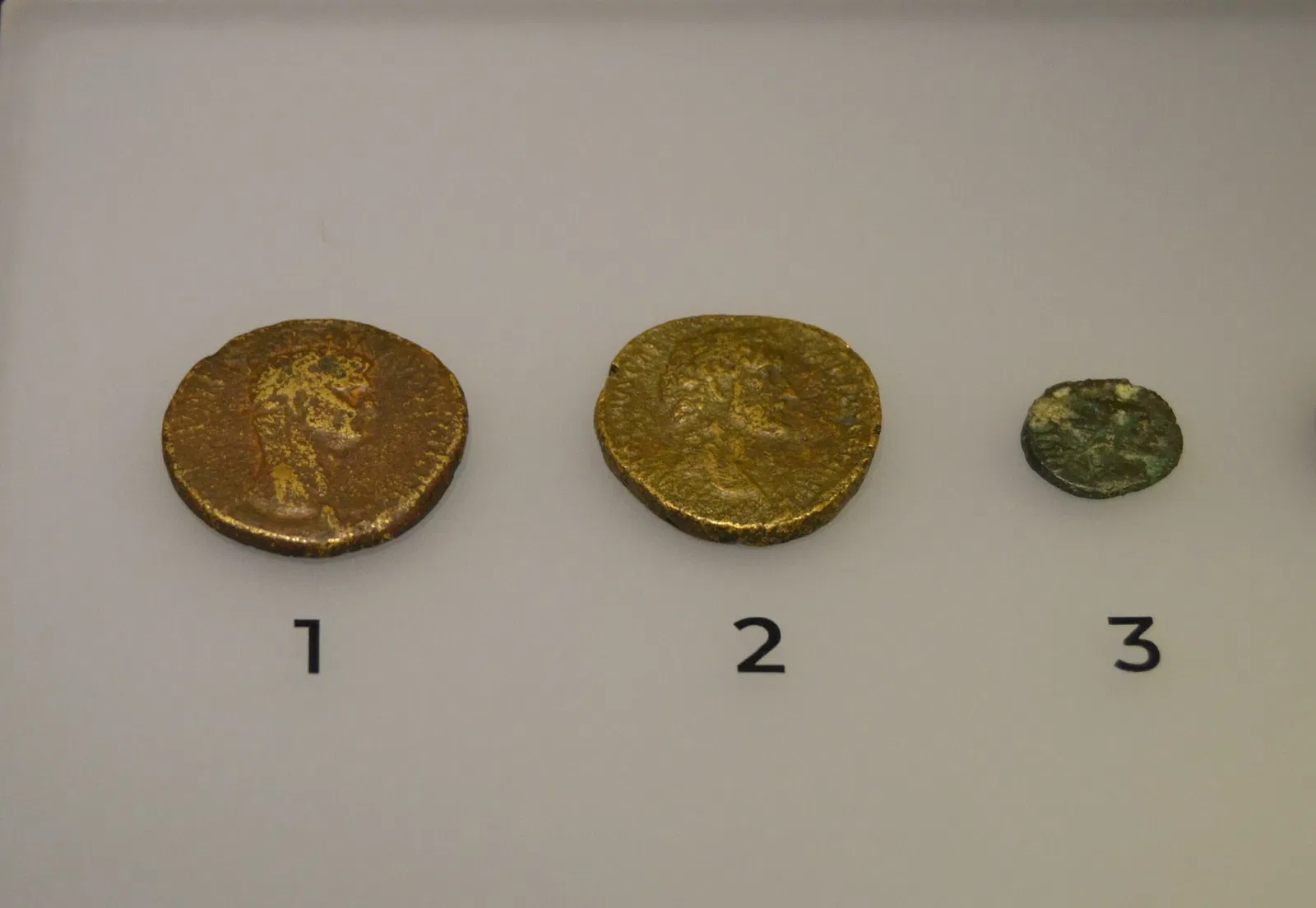 Museo Dámaso Navarro