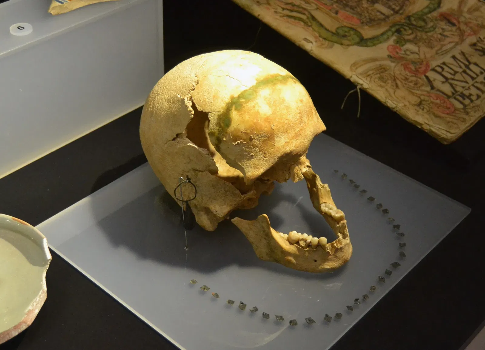 Museo Dámaso Navarro