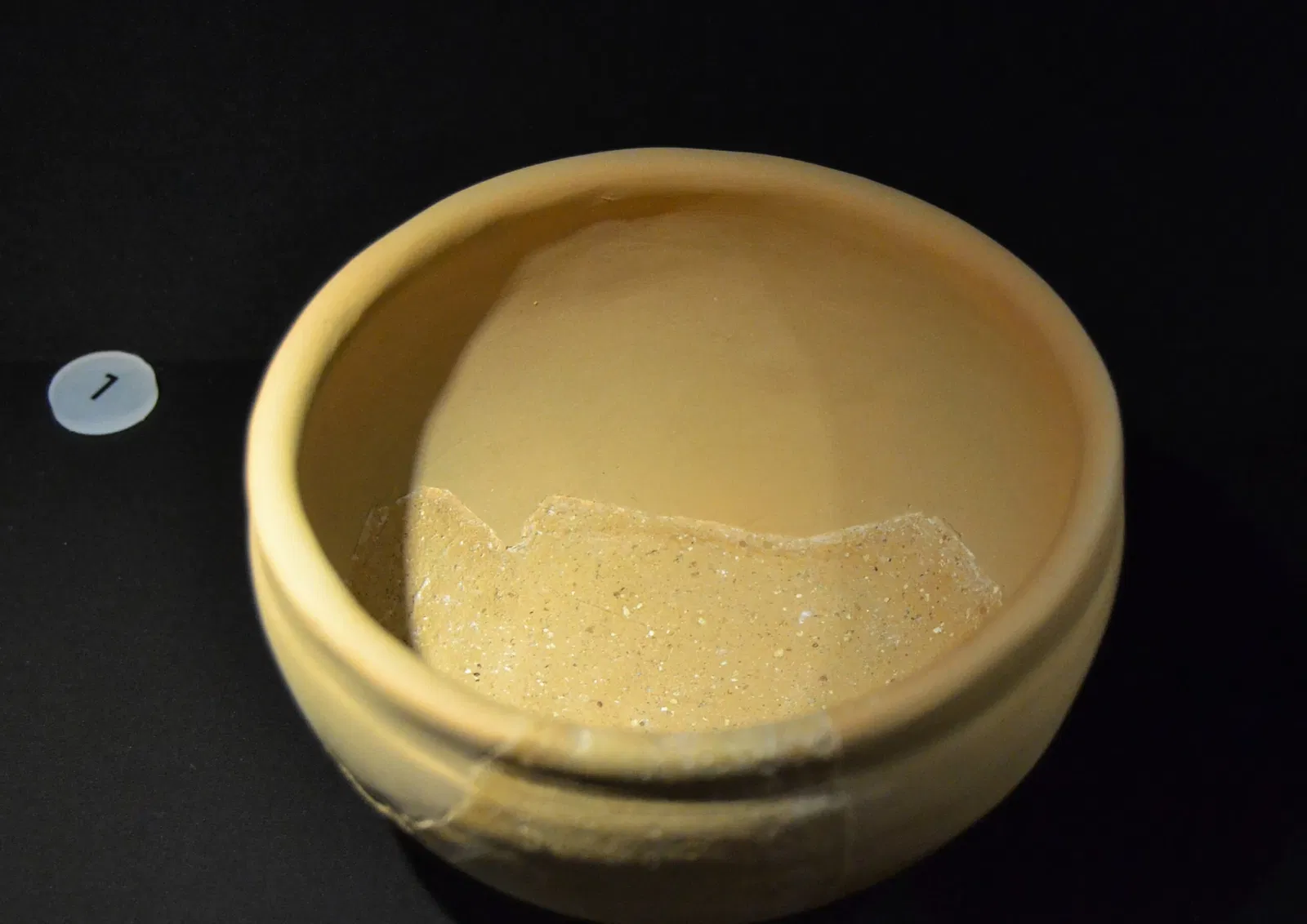 Museum Damaso Navarro