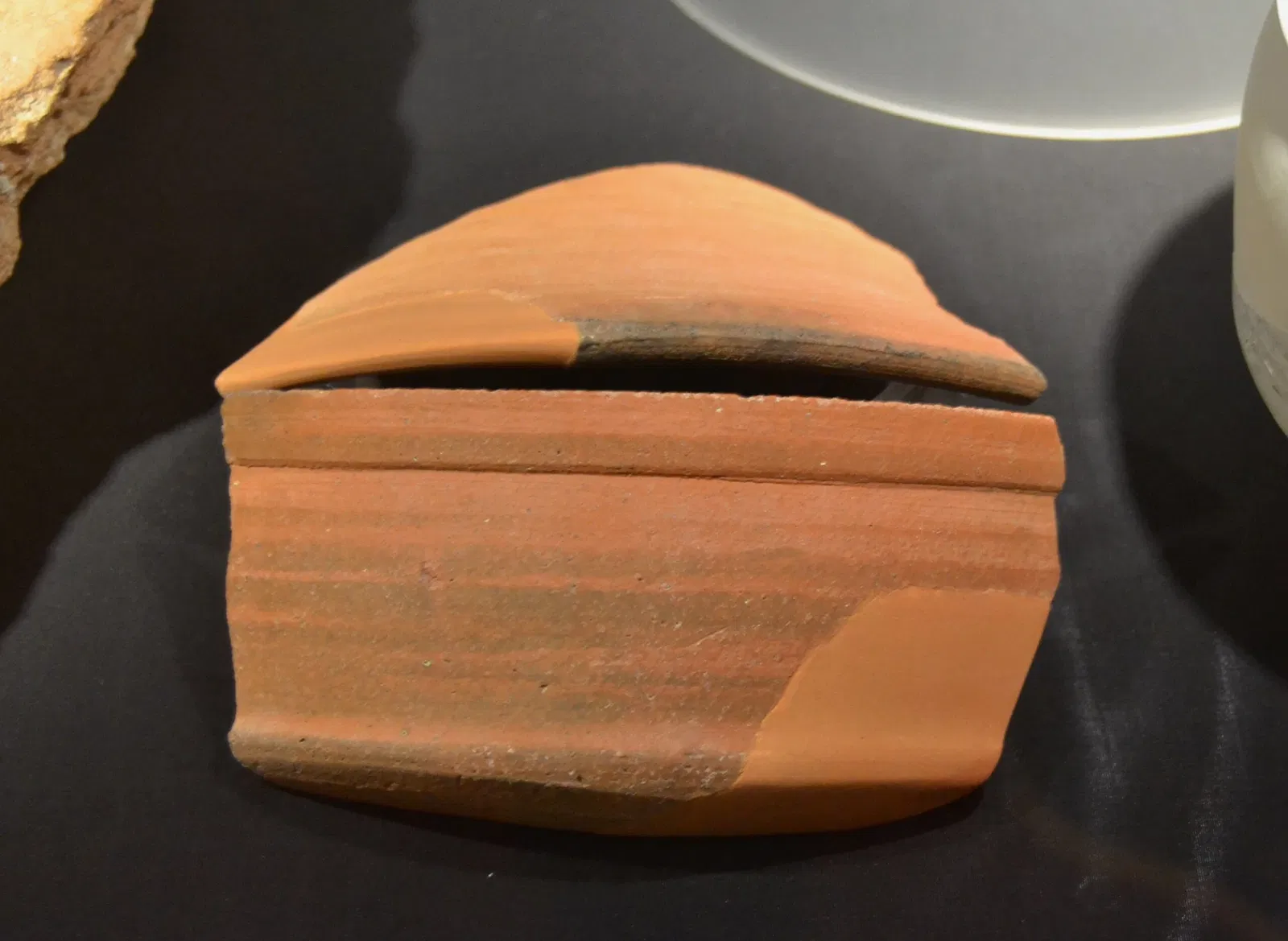 Museum Damaso Navarro