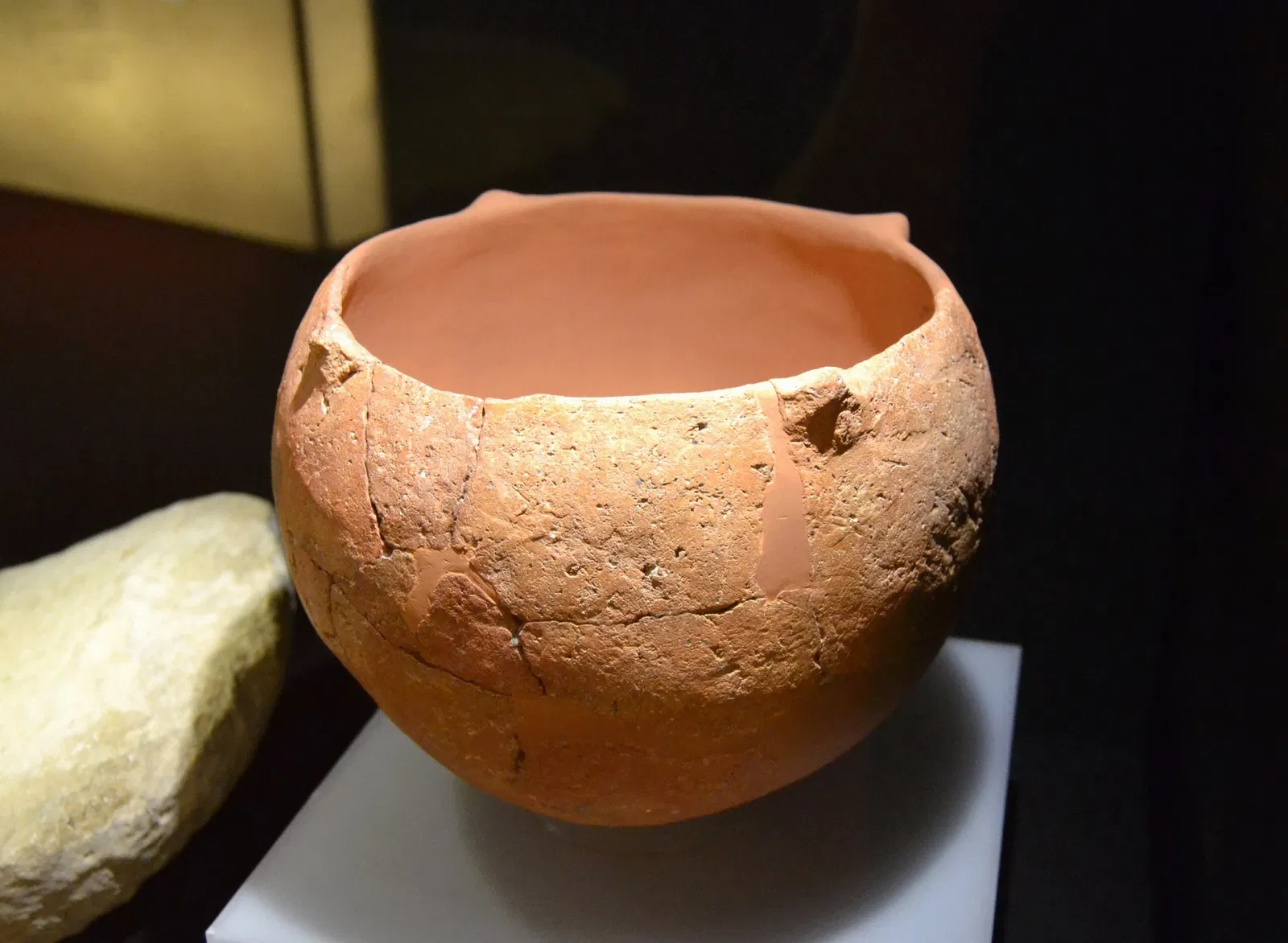 Museum Damaso Navarro