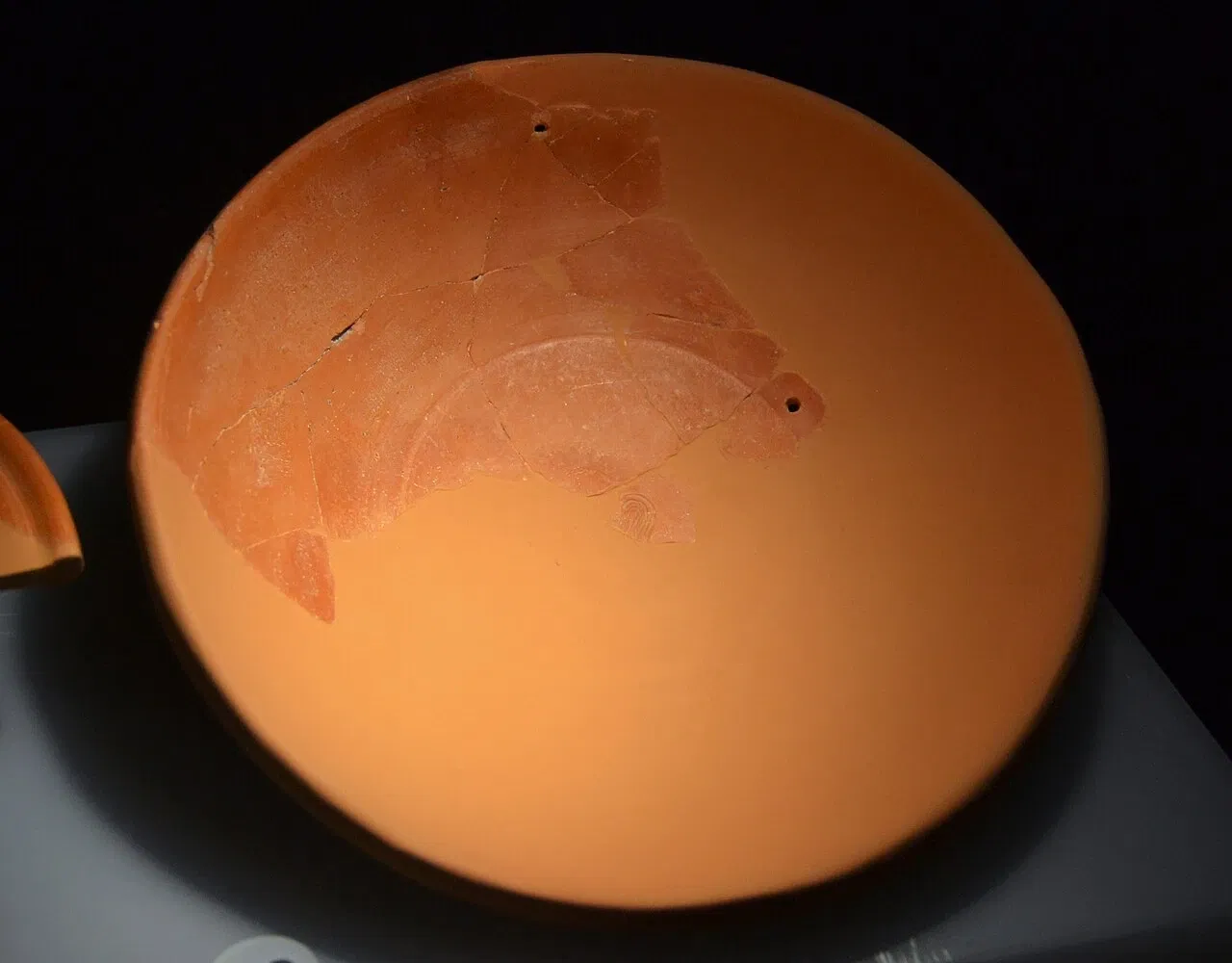 Museum Damaso Navarro