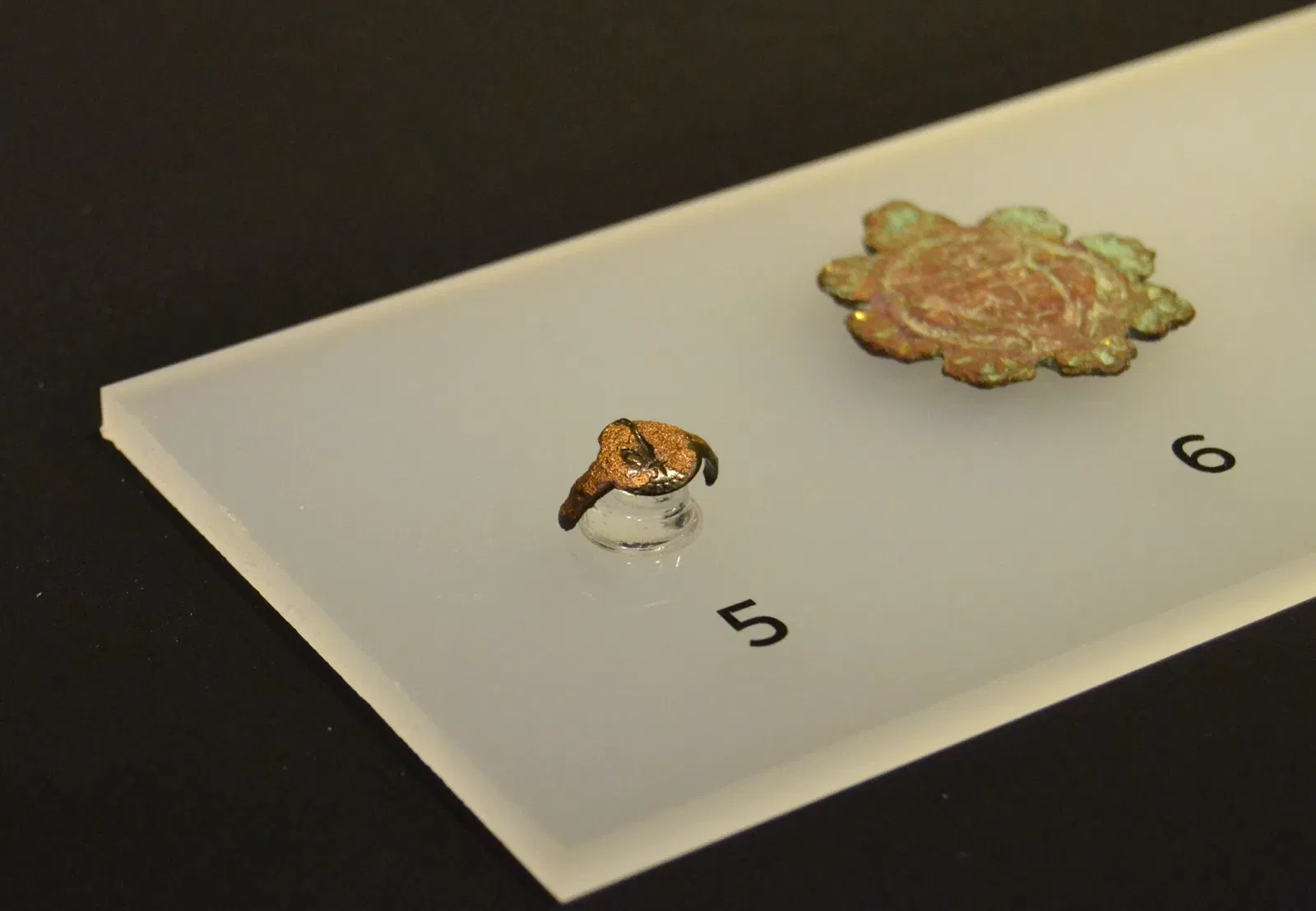 Museum Damaso Navarro