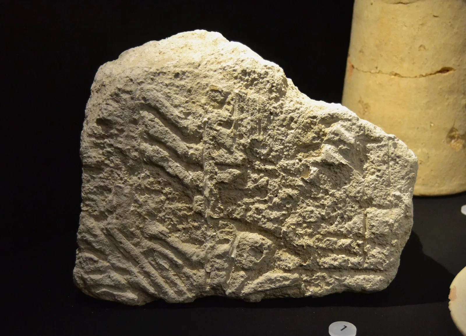 Museo Dámaso Navarro