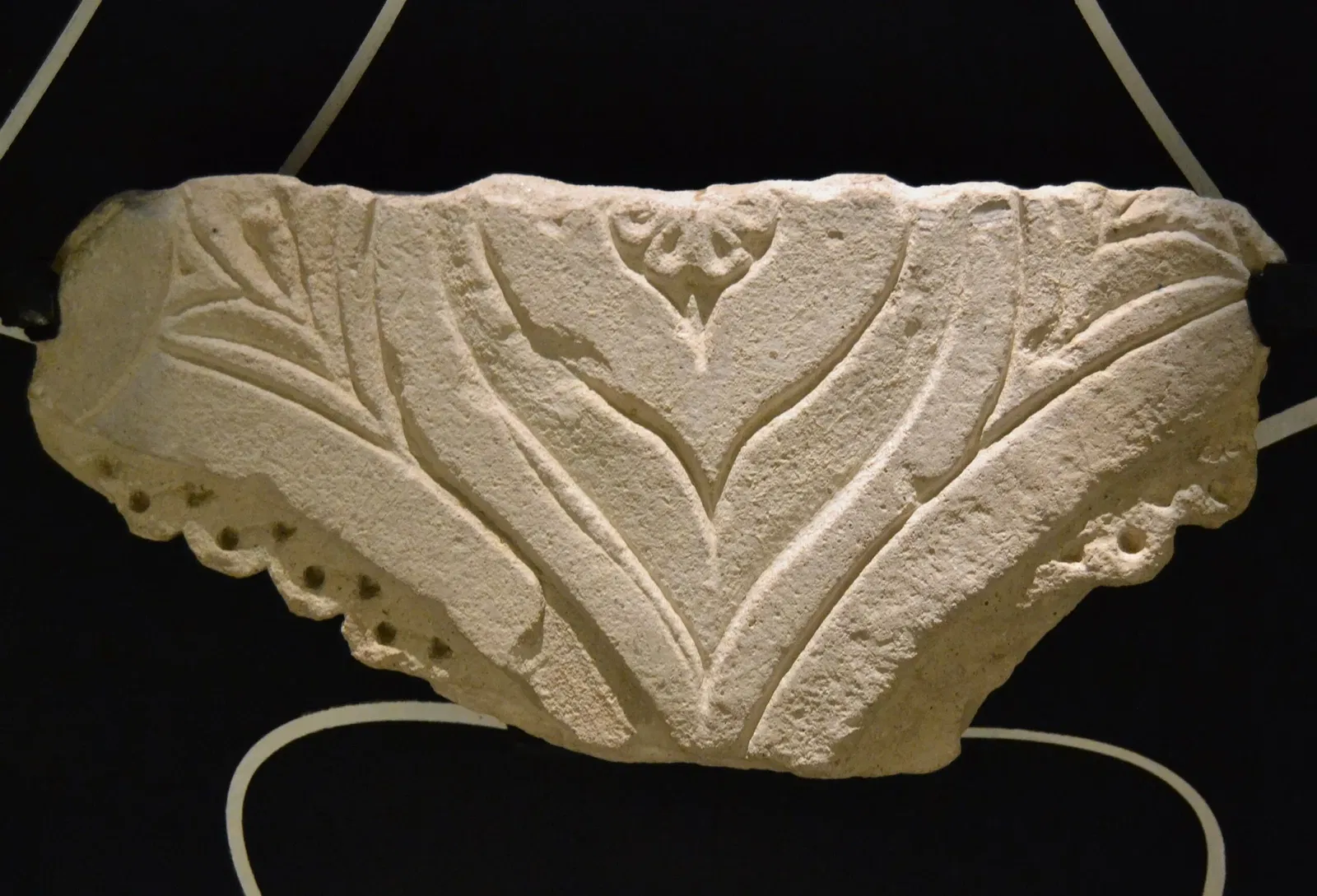 Museum Damaso Navarro