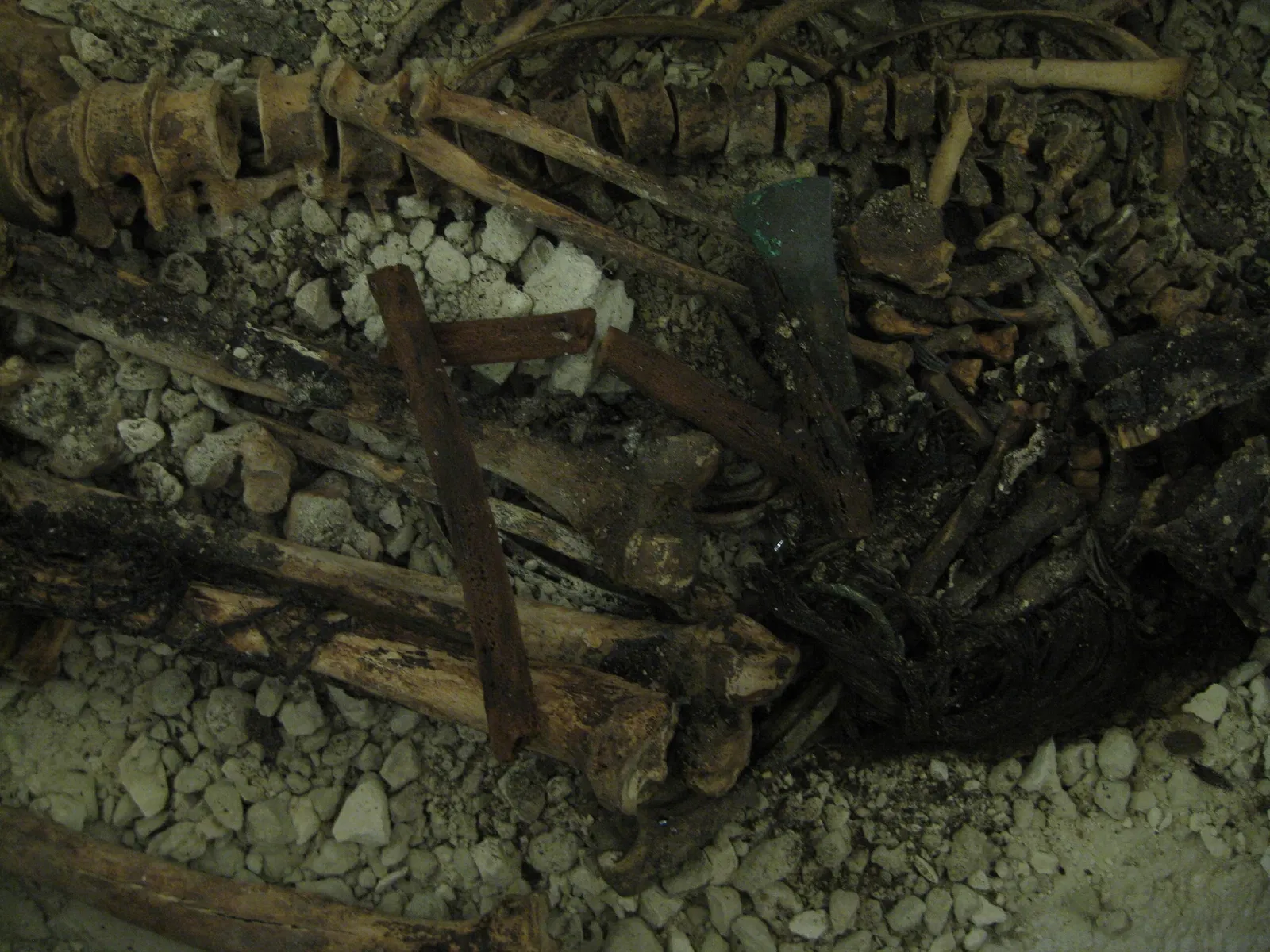 Museo Arqueológico de Galera