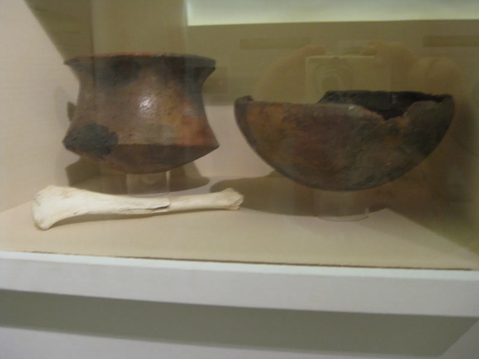 Museo Arqueológico de Galera