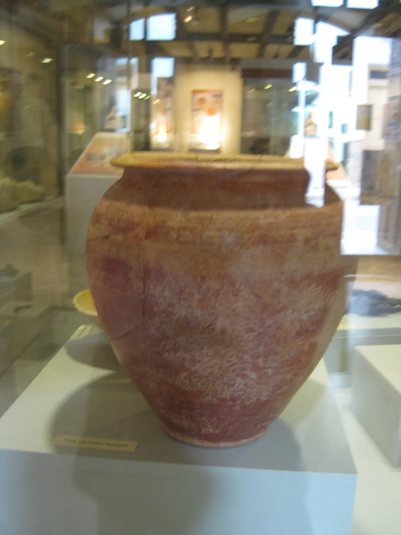 Museo Arqueológico de Galera