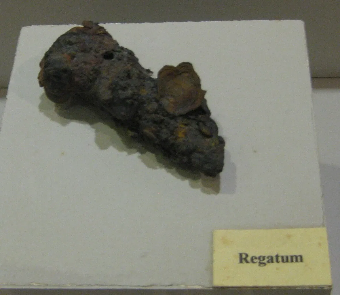 Museo Arqueológico de Galera